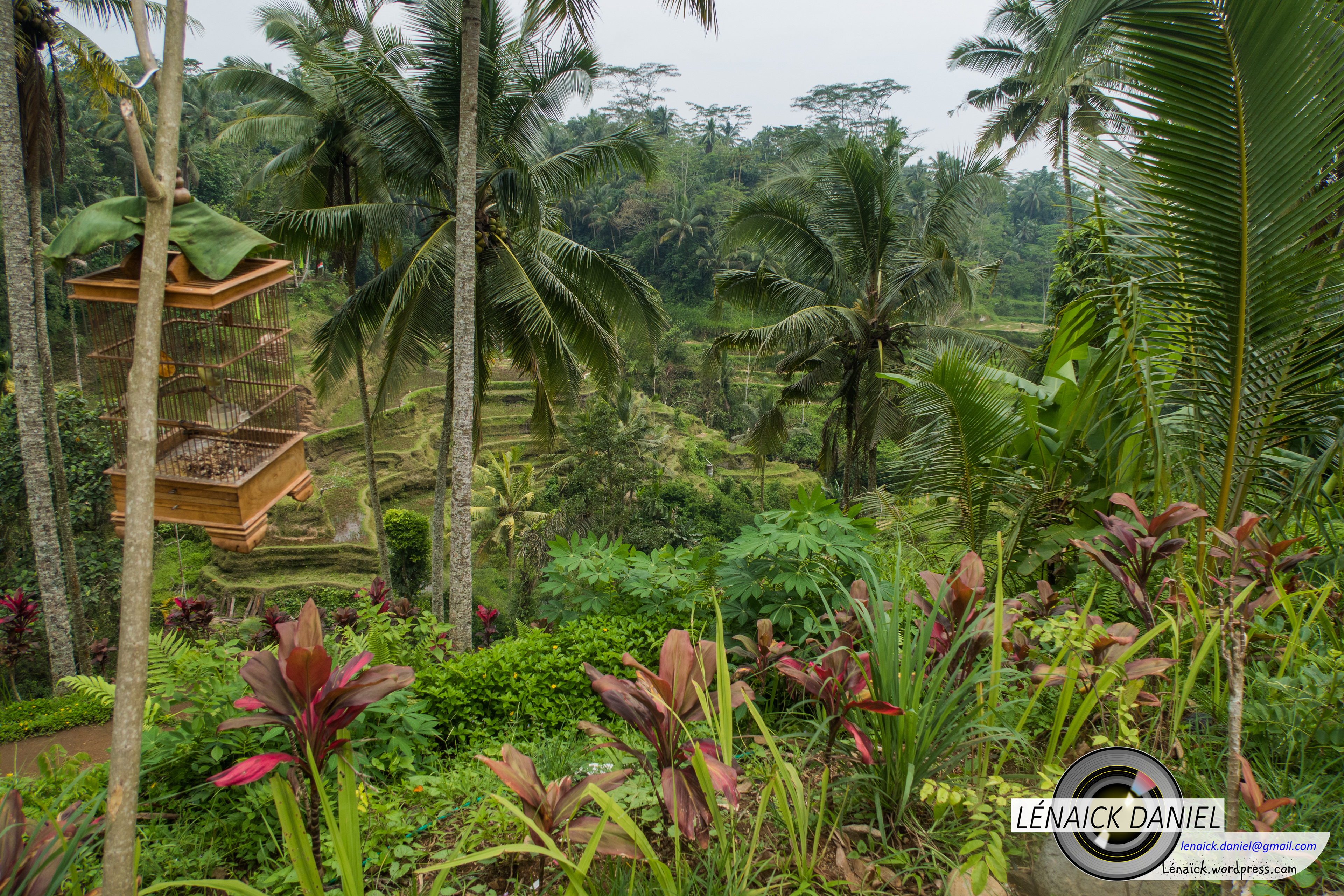 Près de Ubud