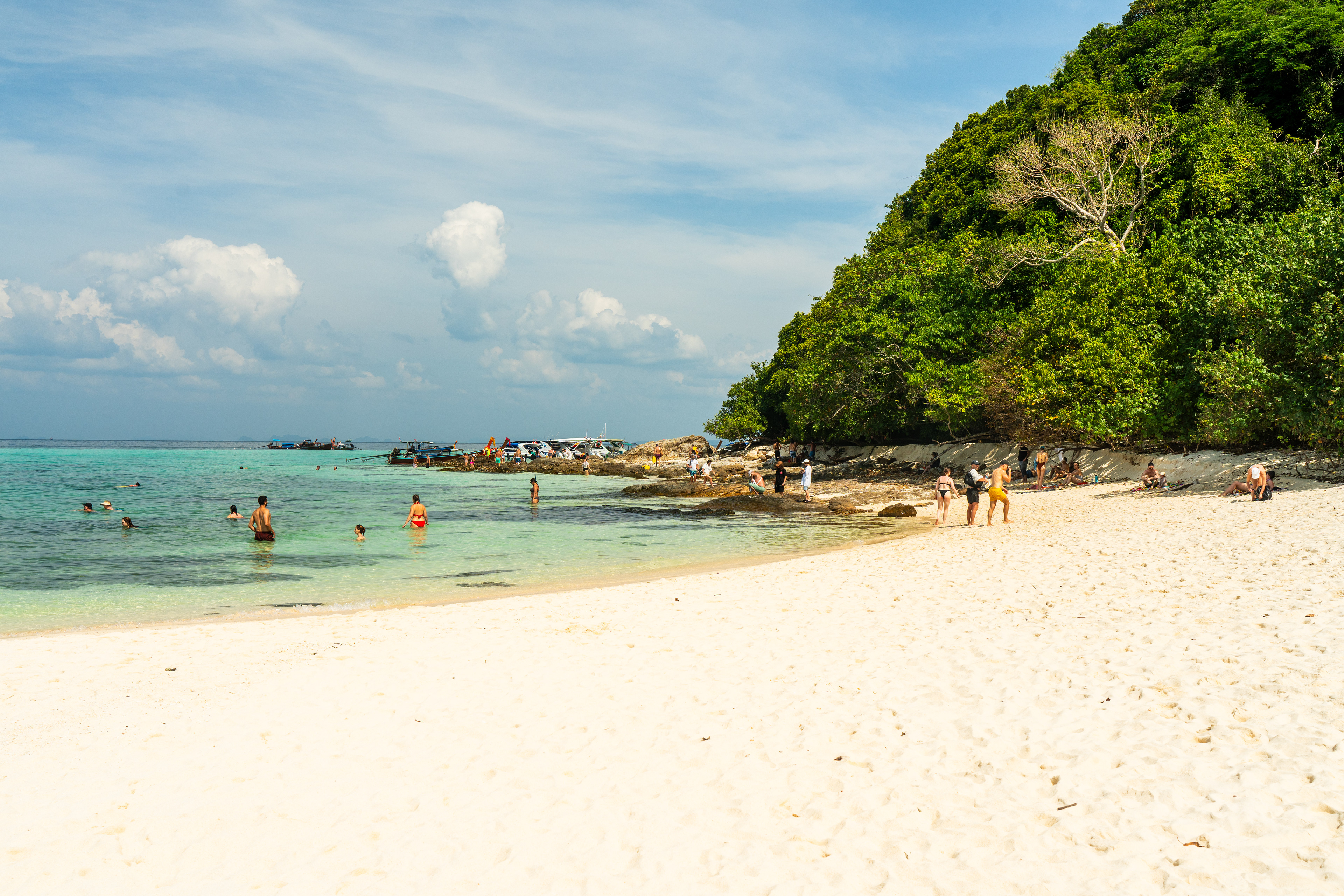 Bamboo island