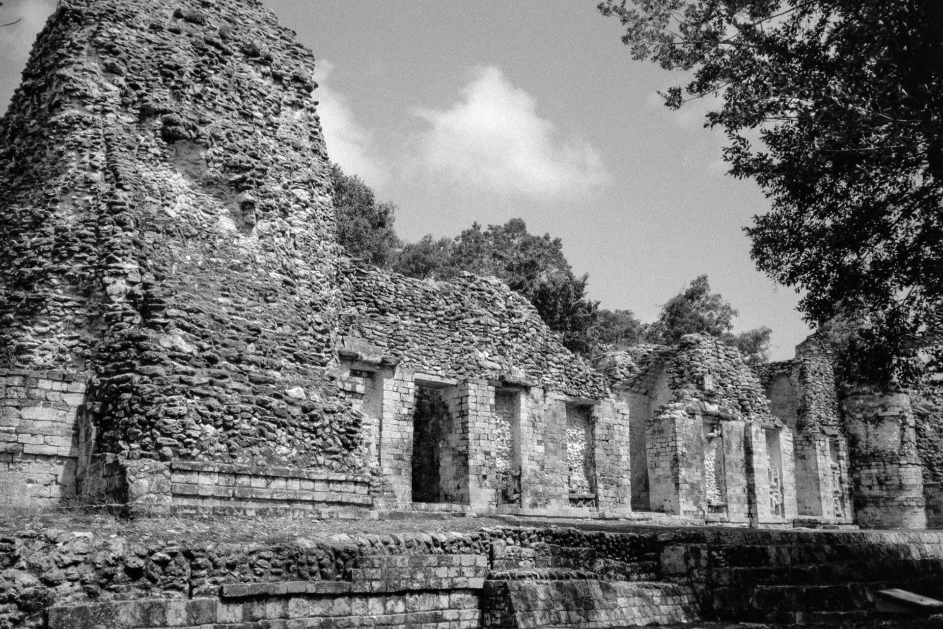 Versions argentique noir et blanc