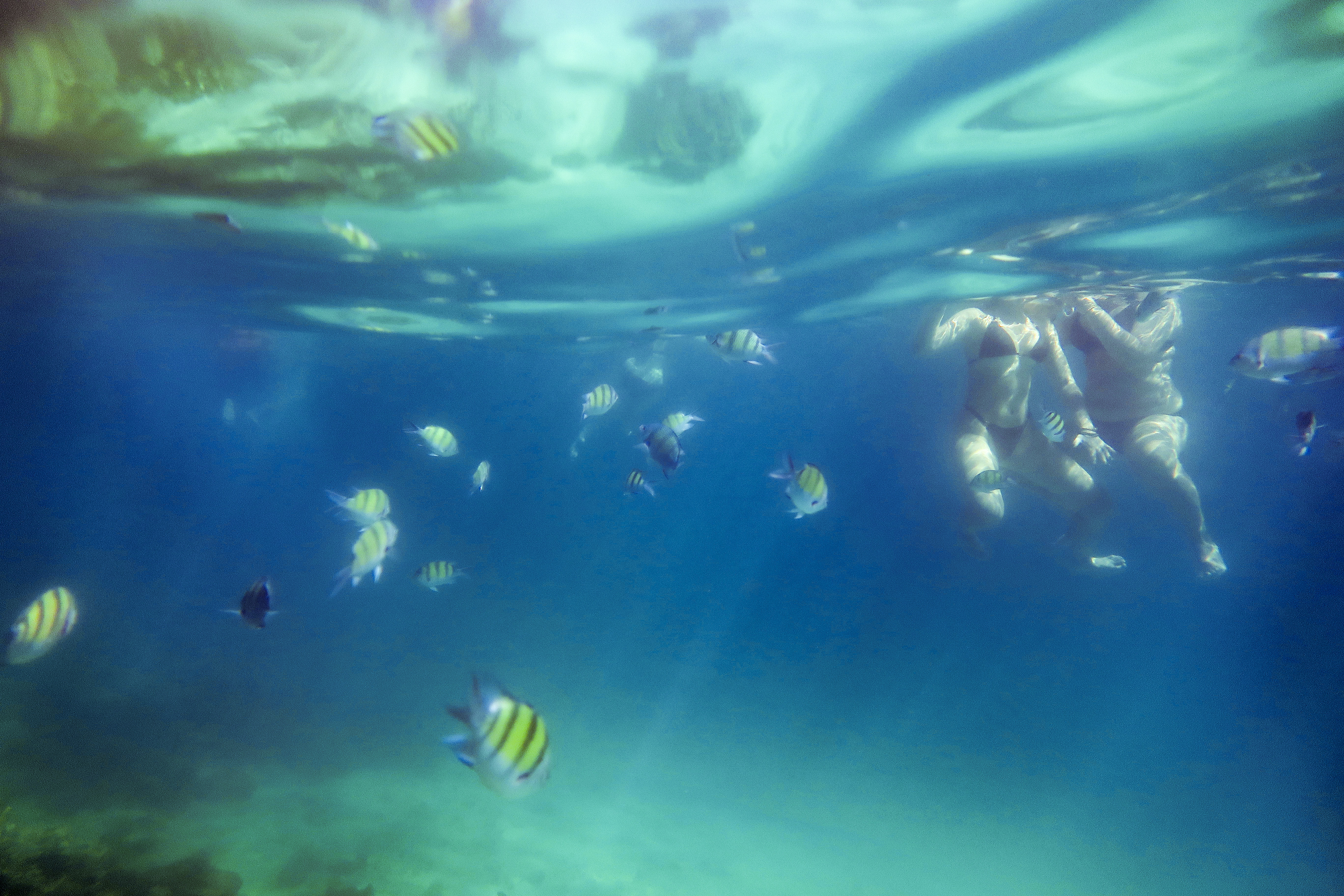 snorkeling