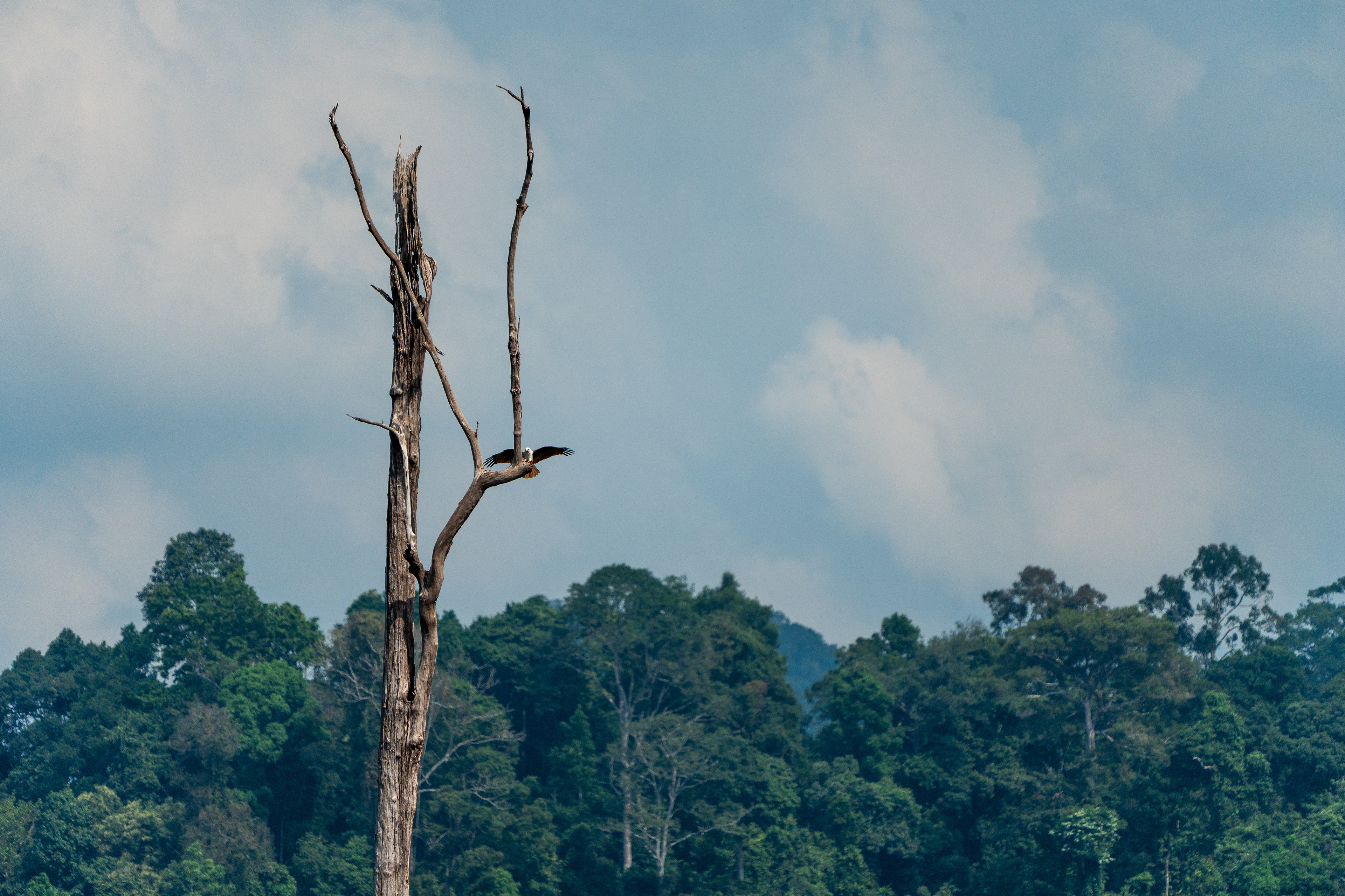 vue de la chambre avec un visiteur