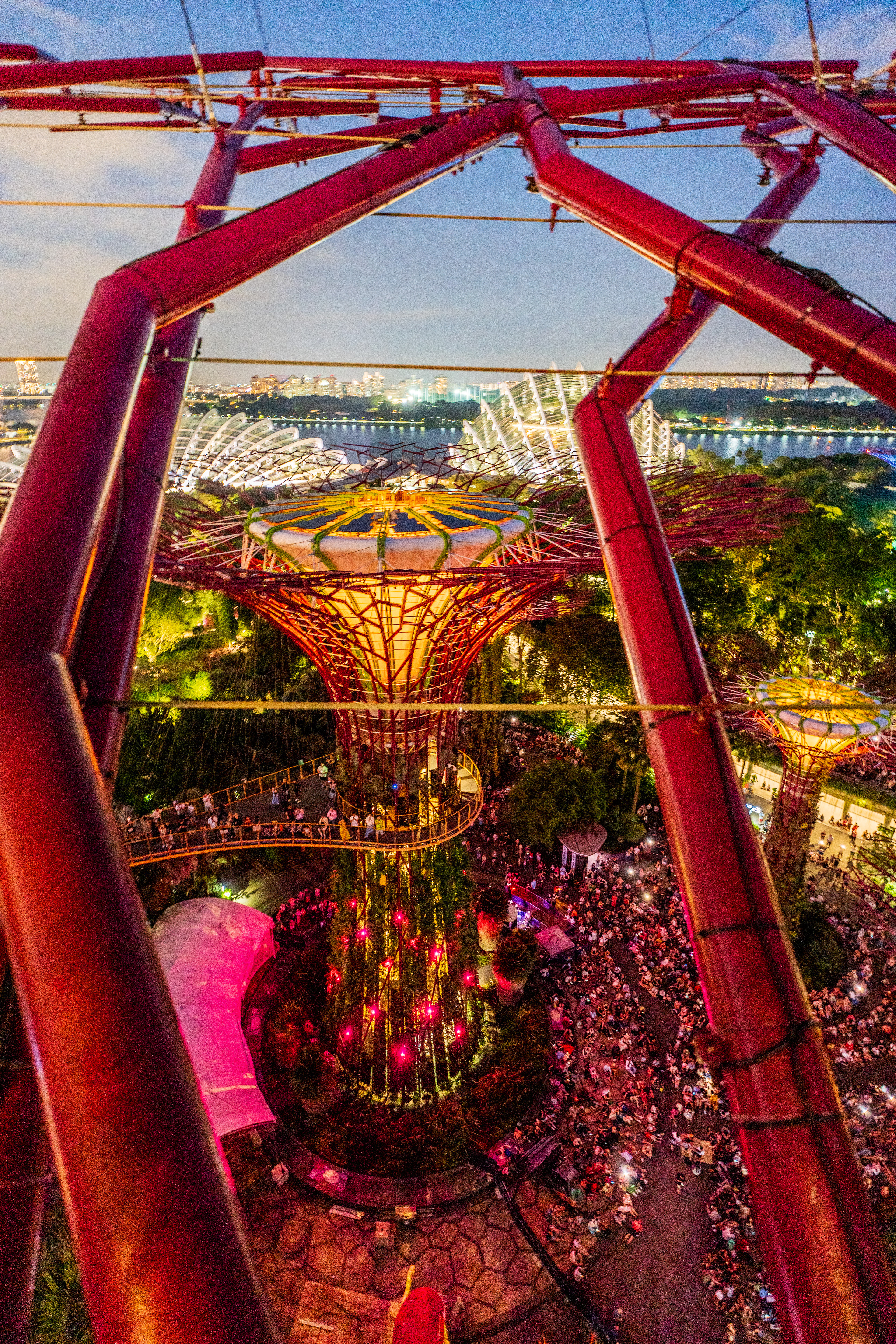 show depuis un Vue depuis un des Supertrees