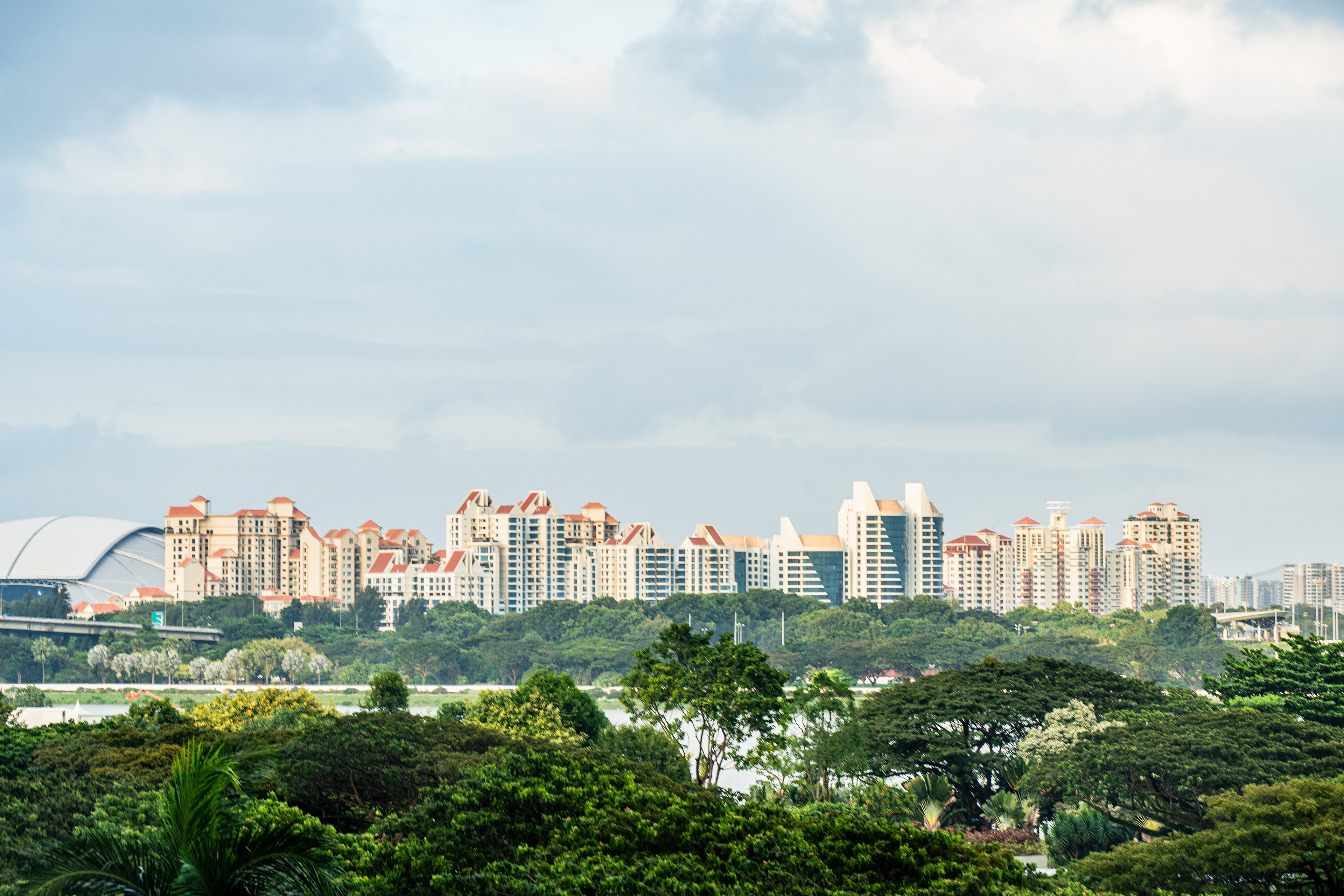 point de vue sur un quartier de la ville depuis le Flower Dome