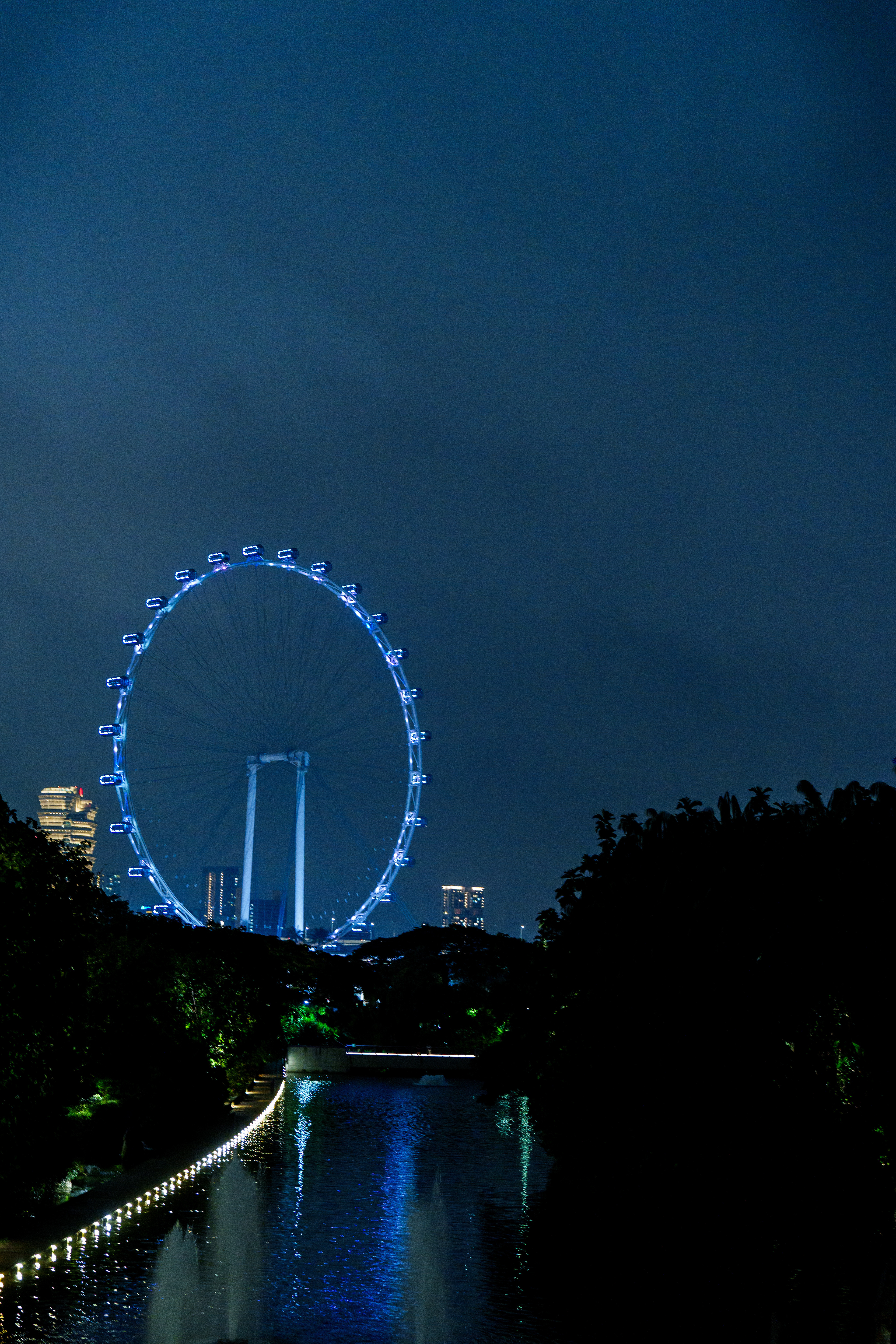 la vue sur la grande roue depuis le parc