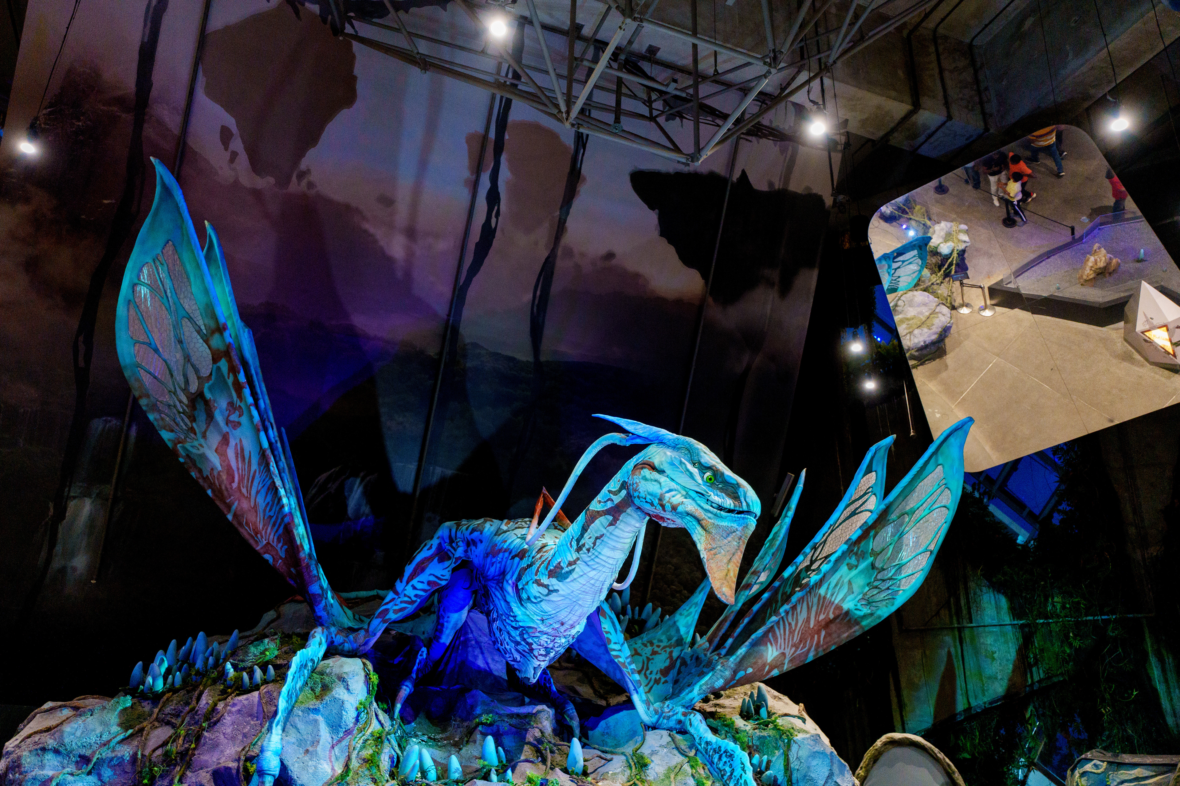 Cloud Forest en mode Avatar
