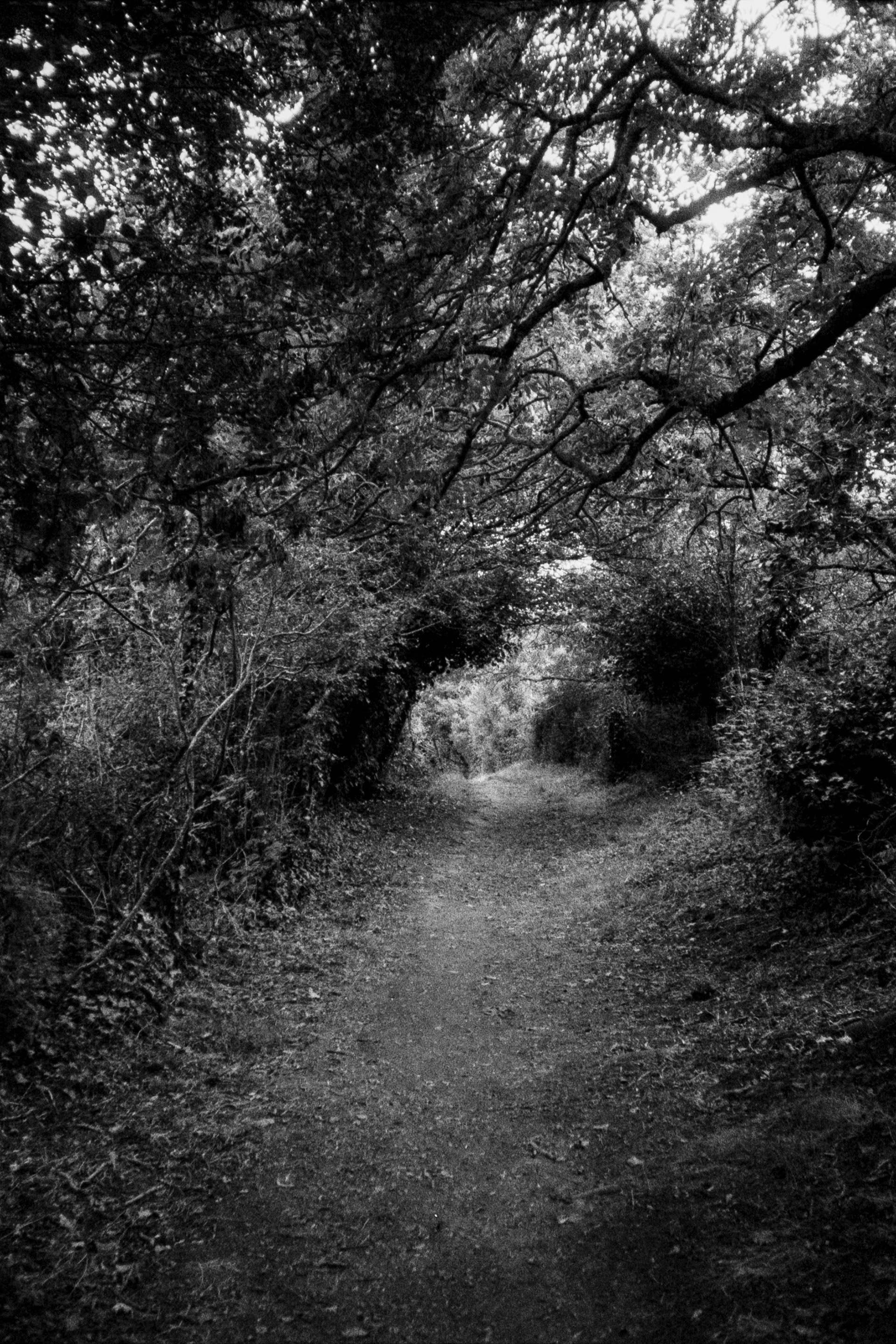 Sentier des douaniers en pellicule noir et blanc