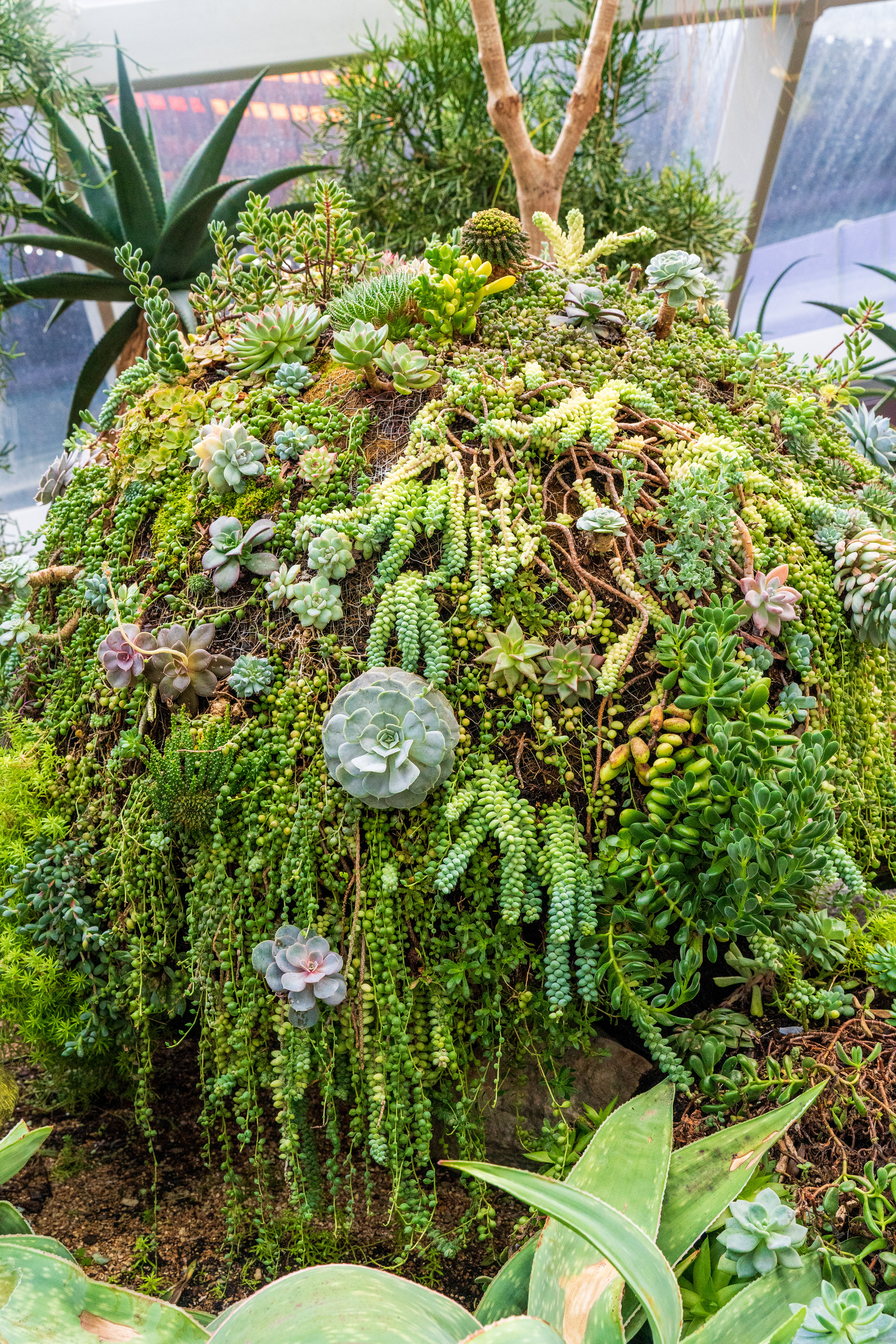 Flower Dome