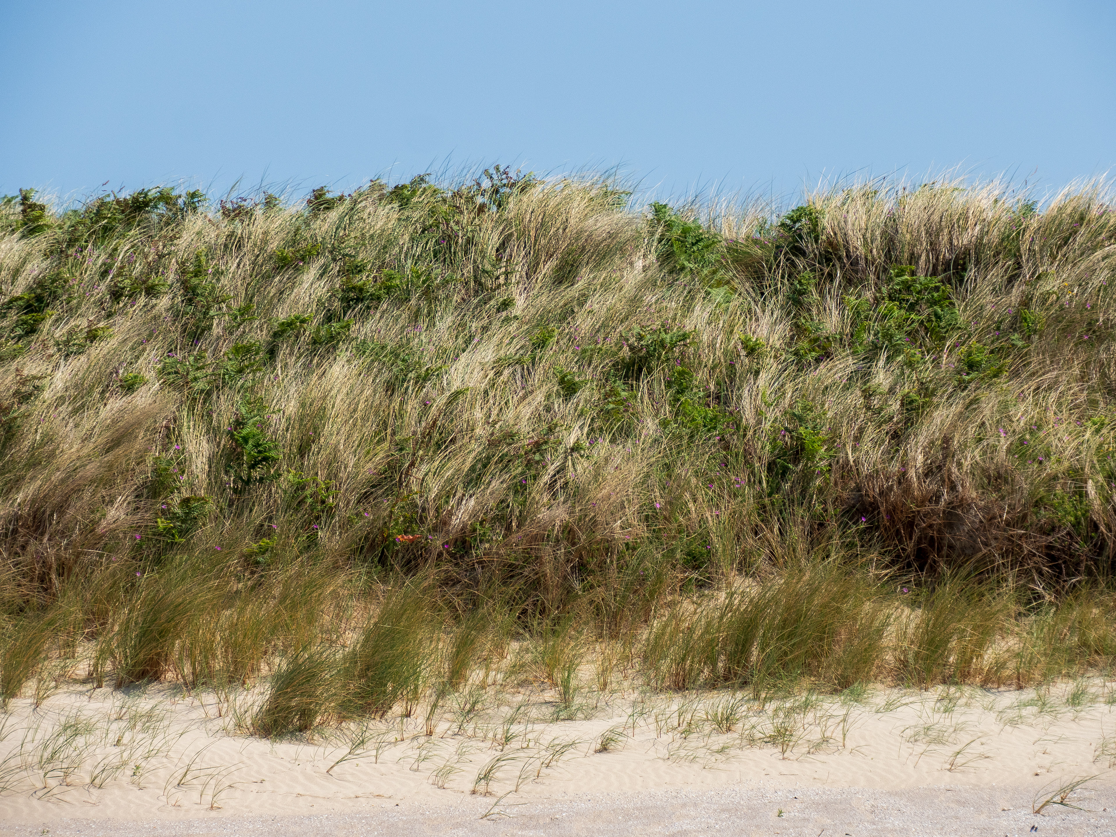 Dunes