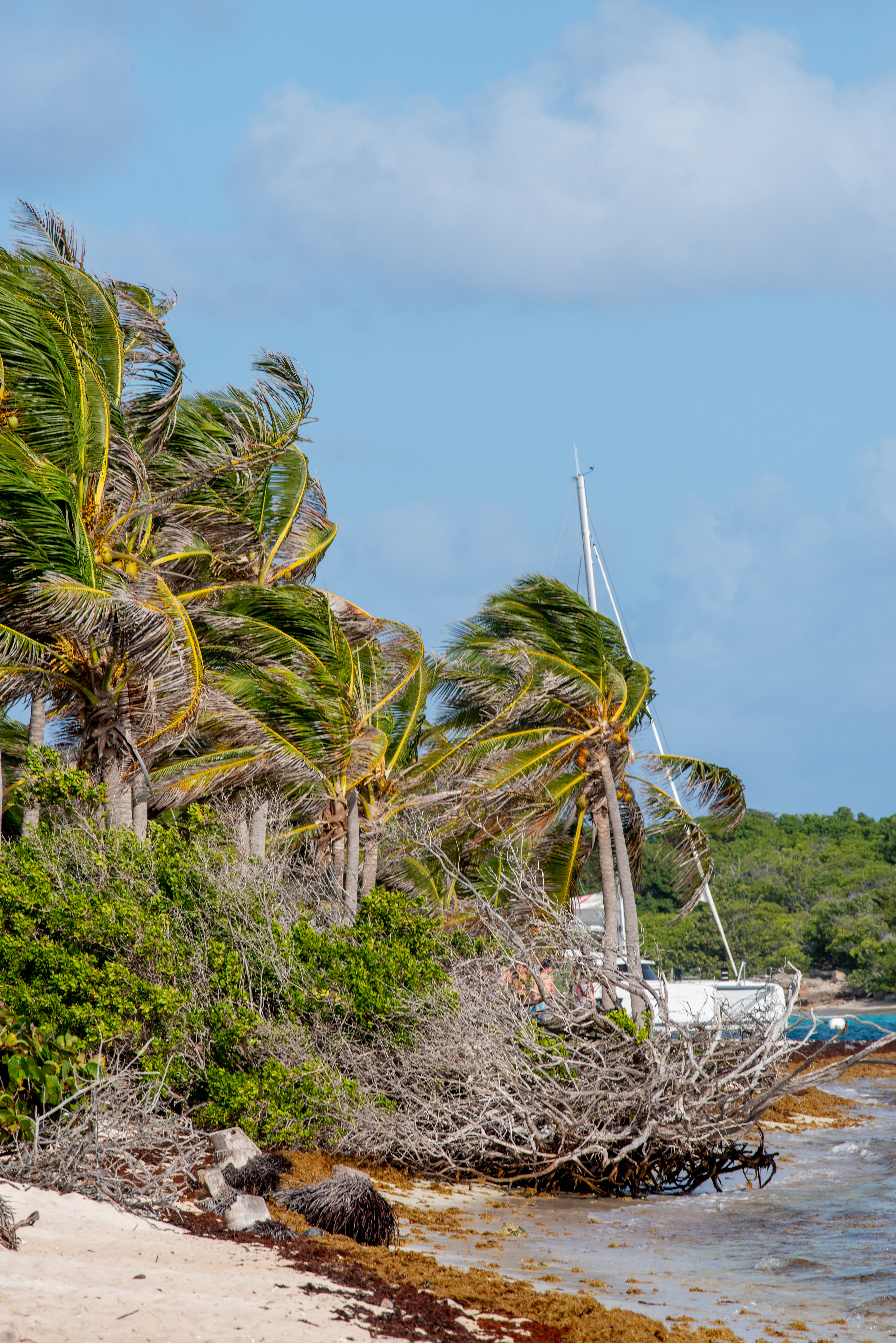 Plage sur la Terre de Bas