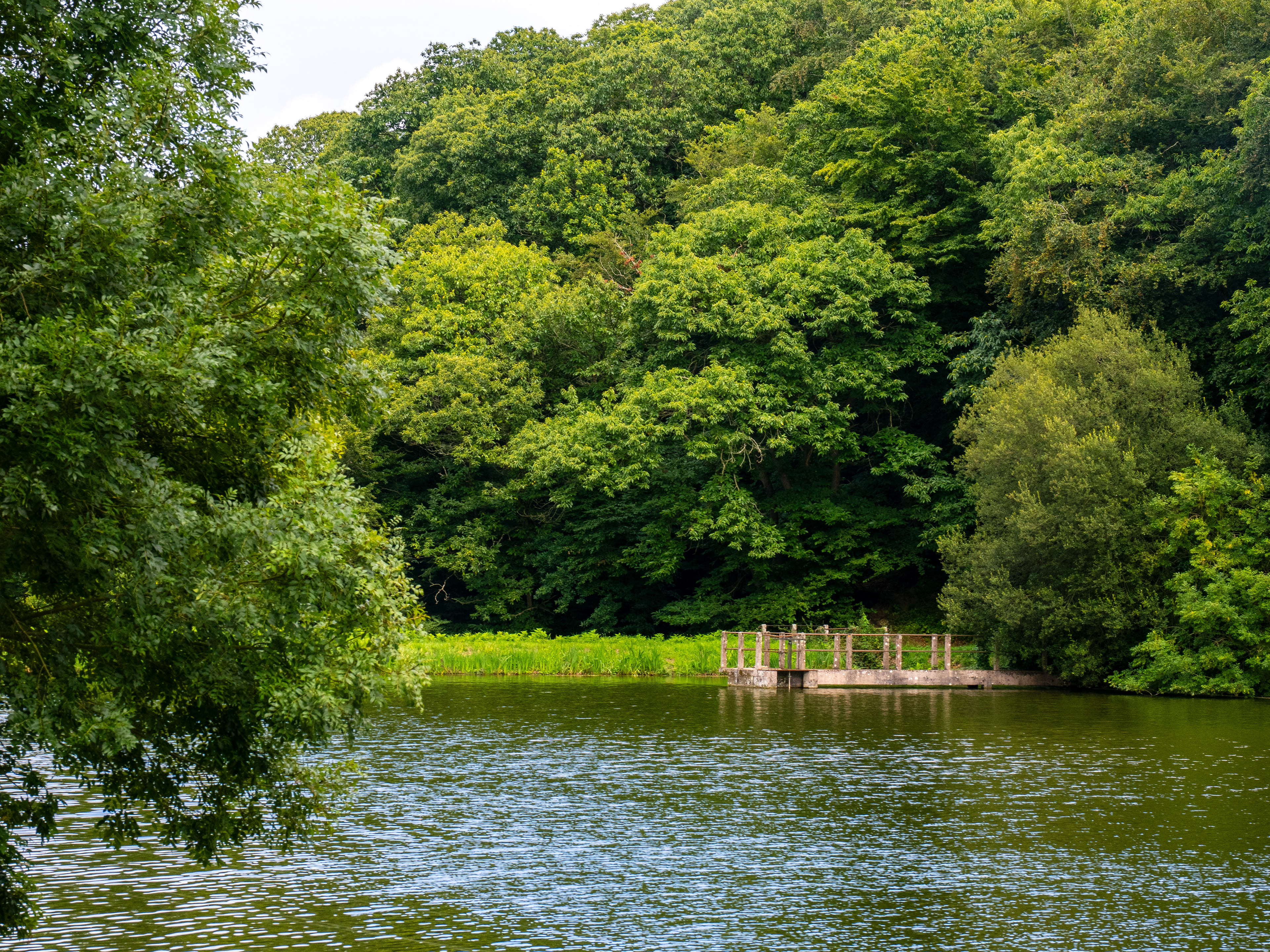 Etang de Beaulieu