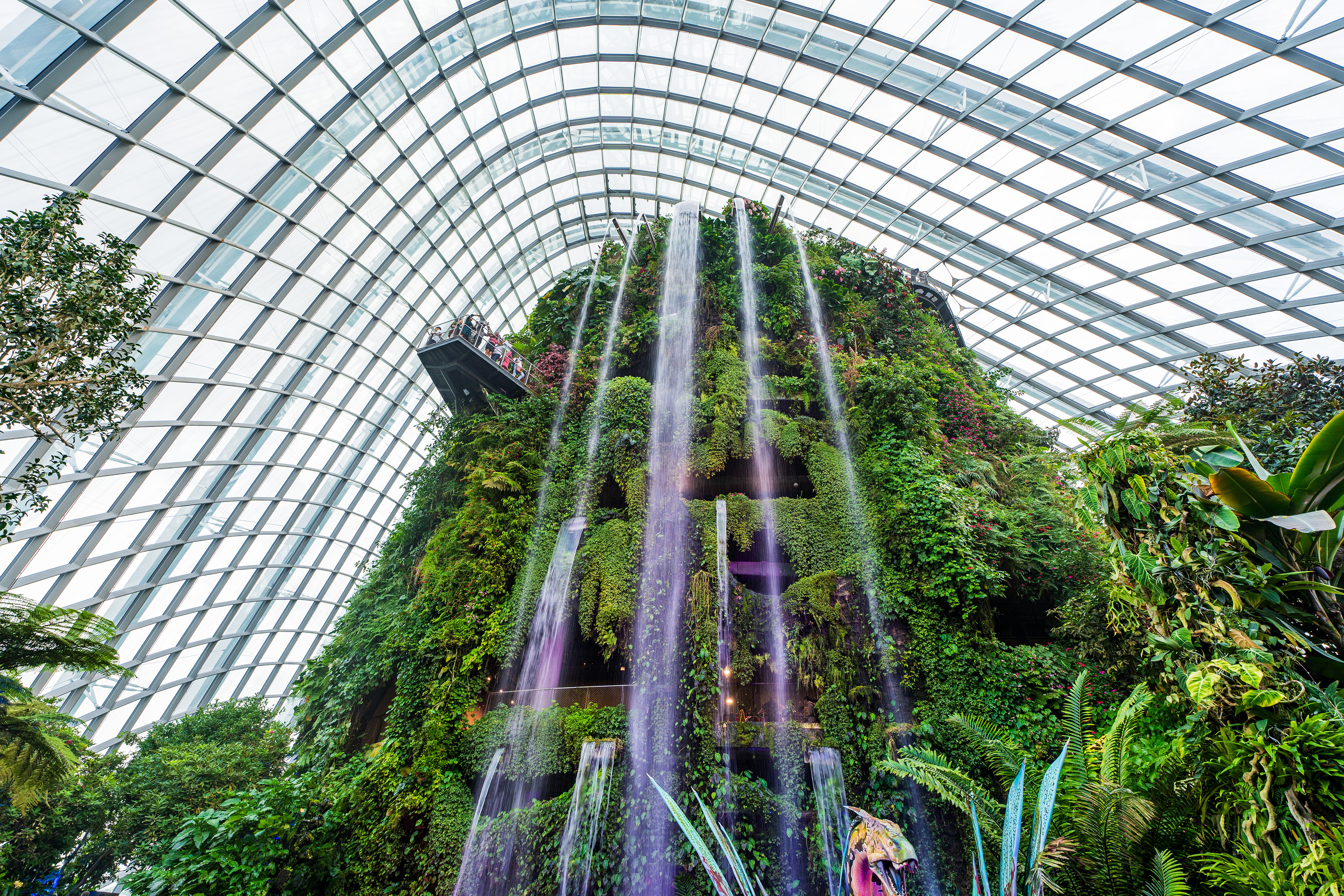 Cloud Forest