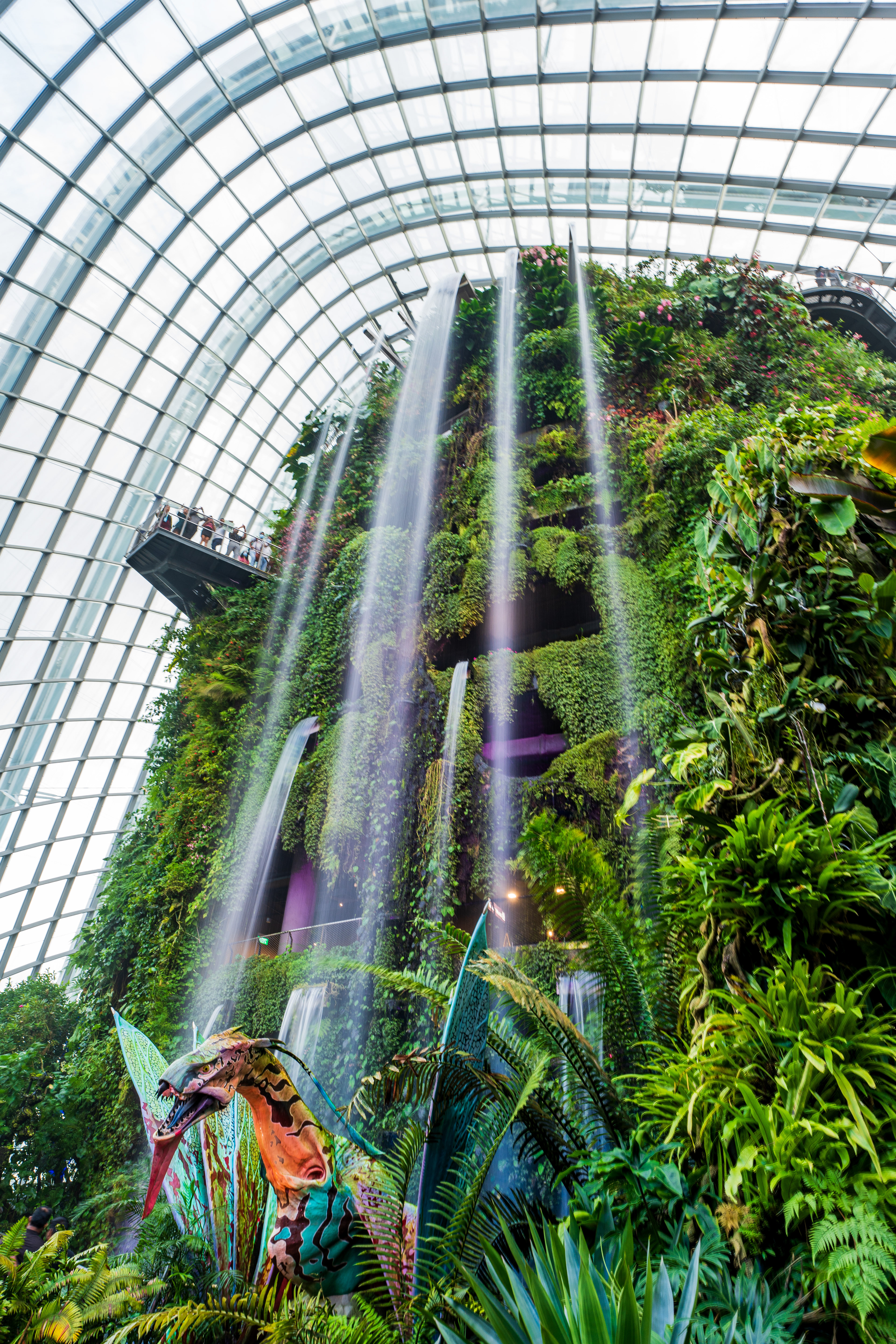 Cloud Forest