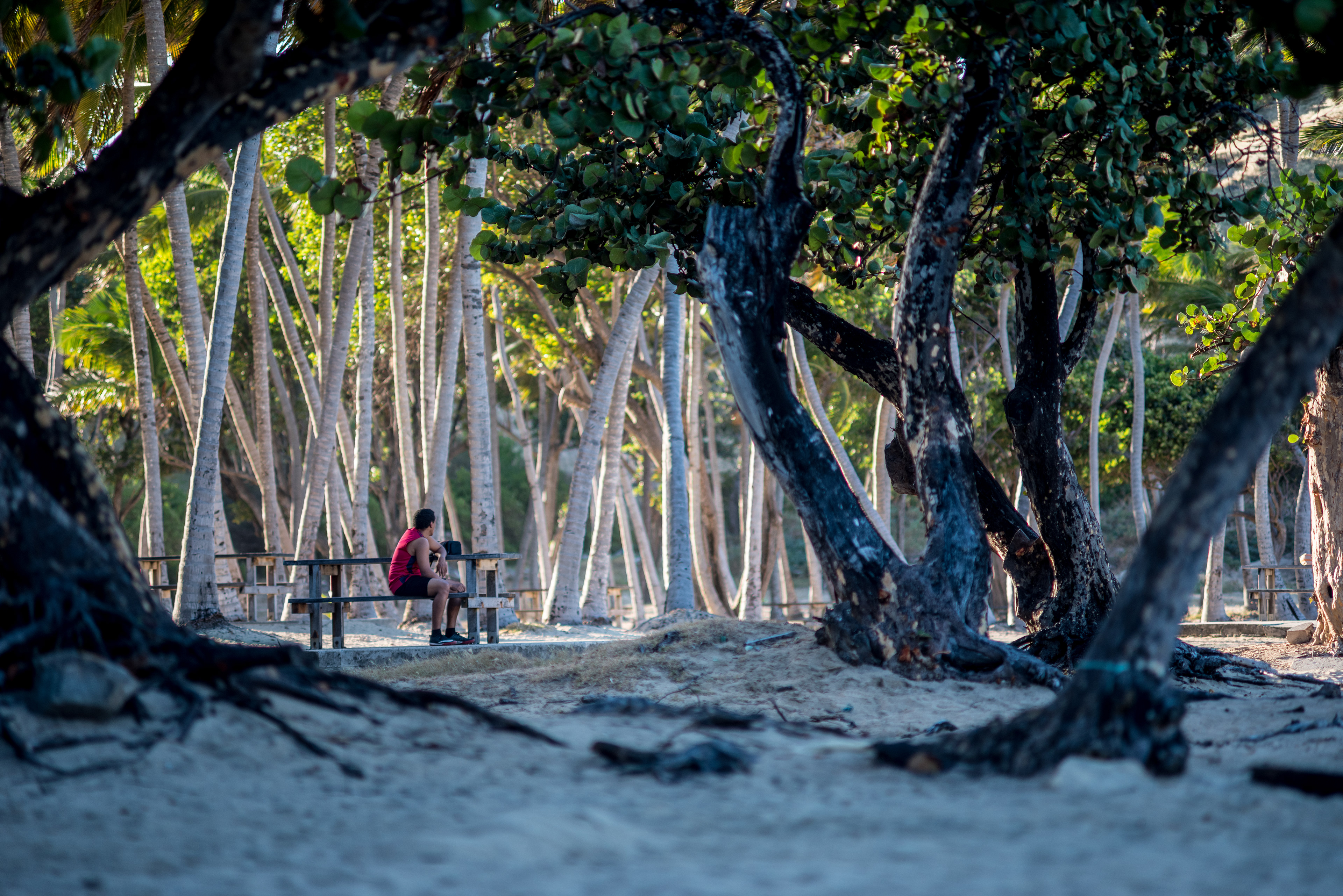 homme assis, plage de Pompierre