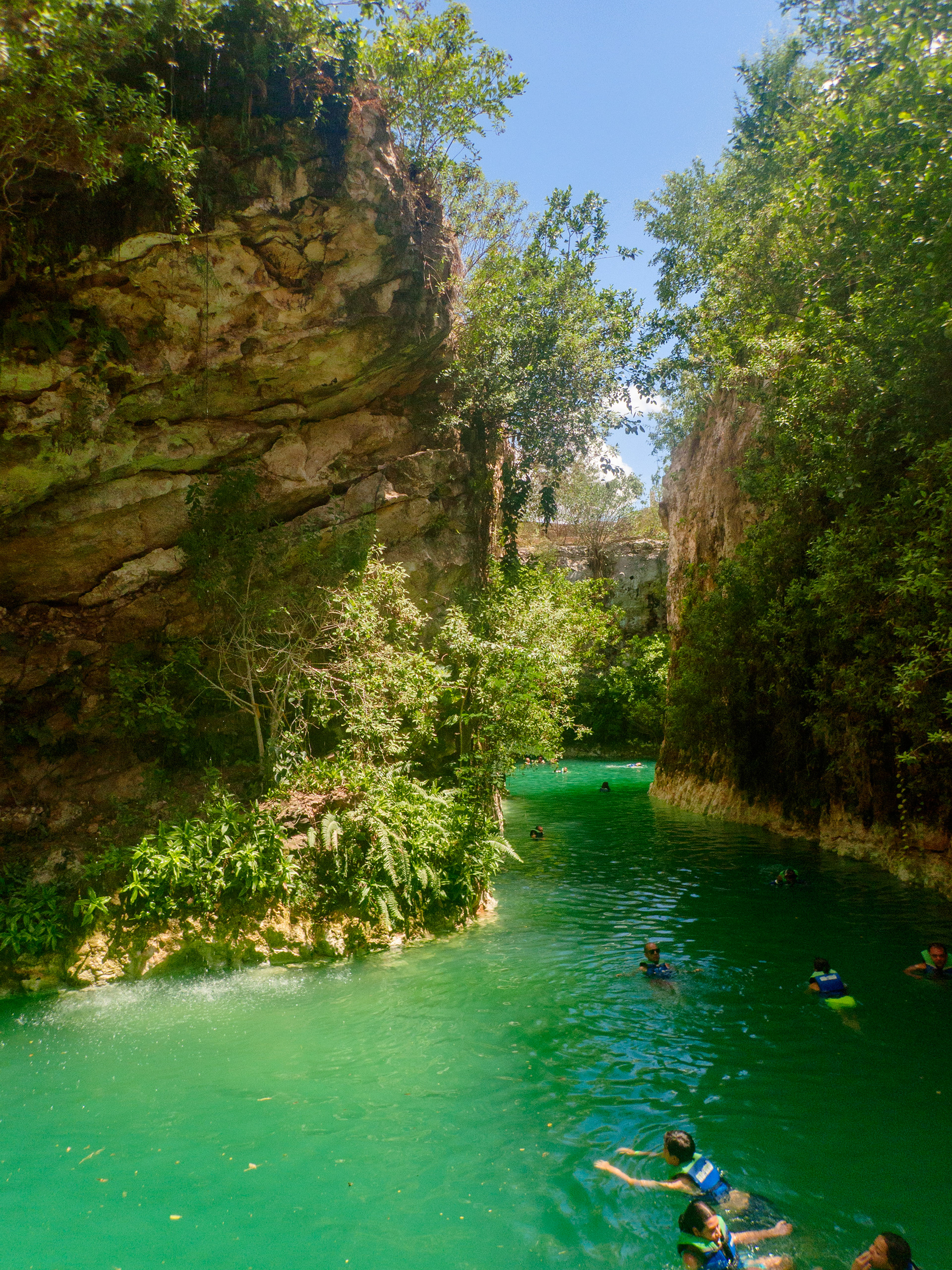 Cénote Pool Cocom, le plus grand et le plus ouvert