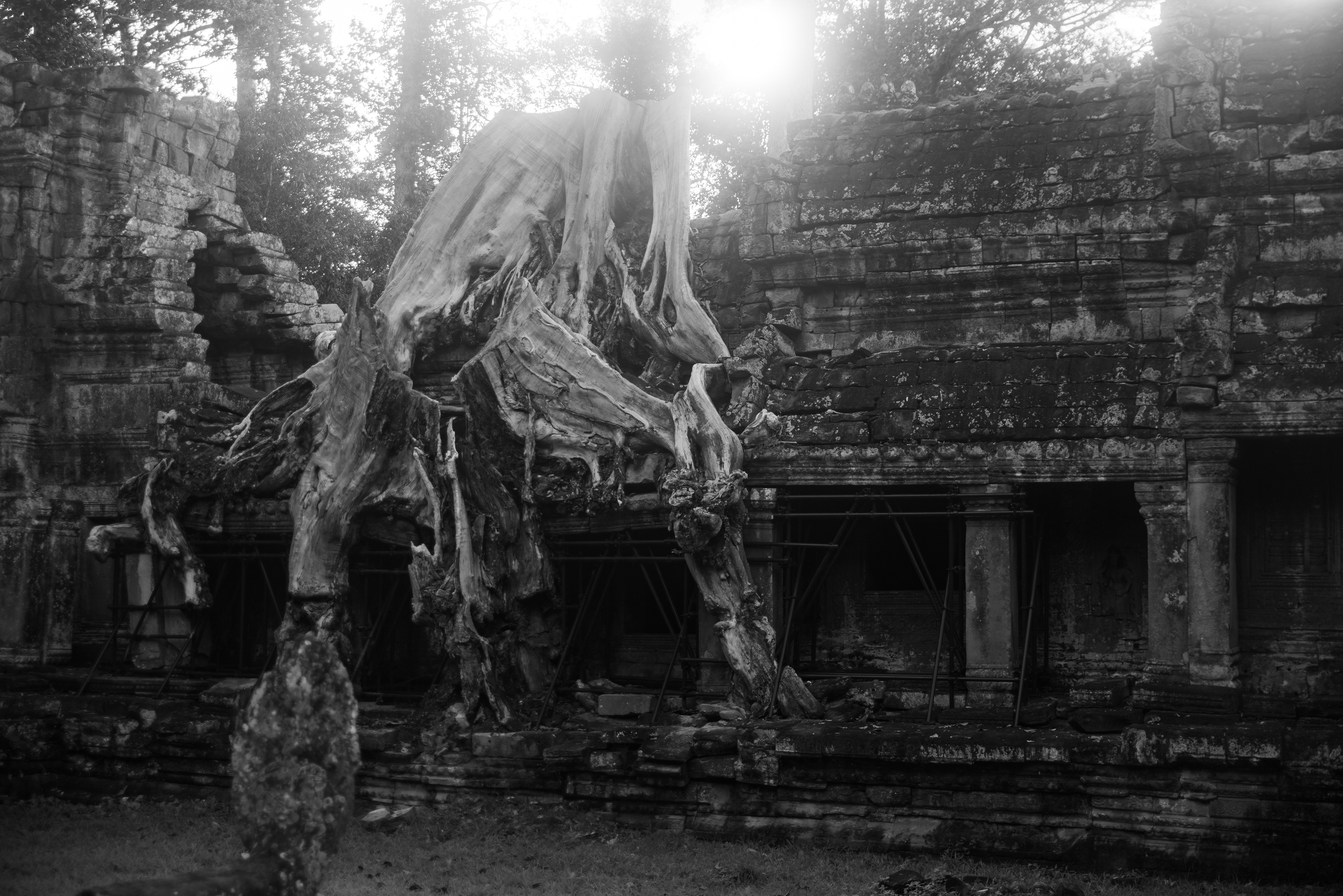 Preah Khan