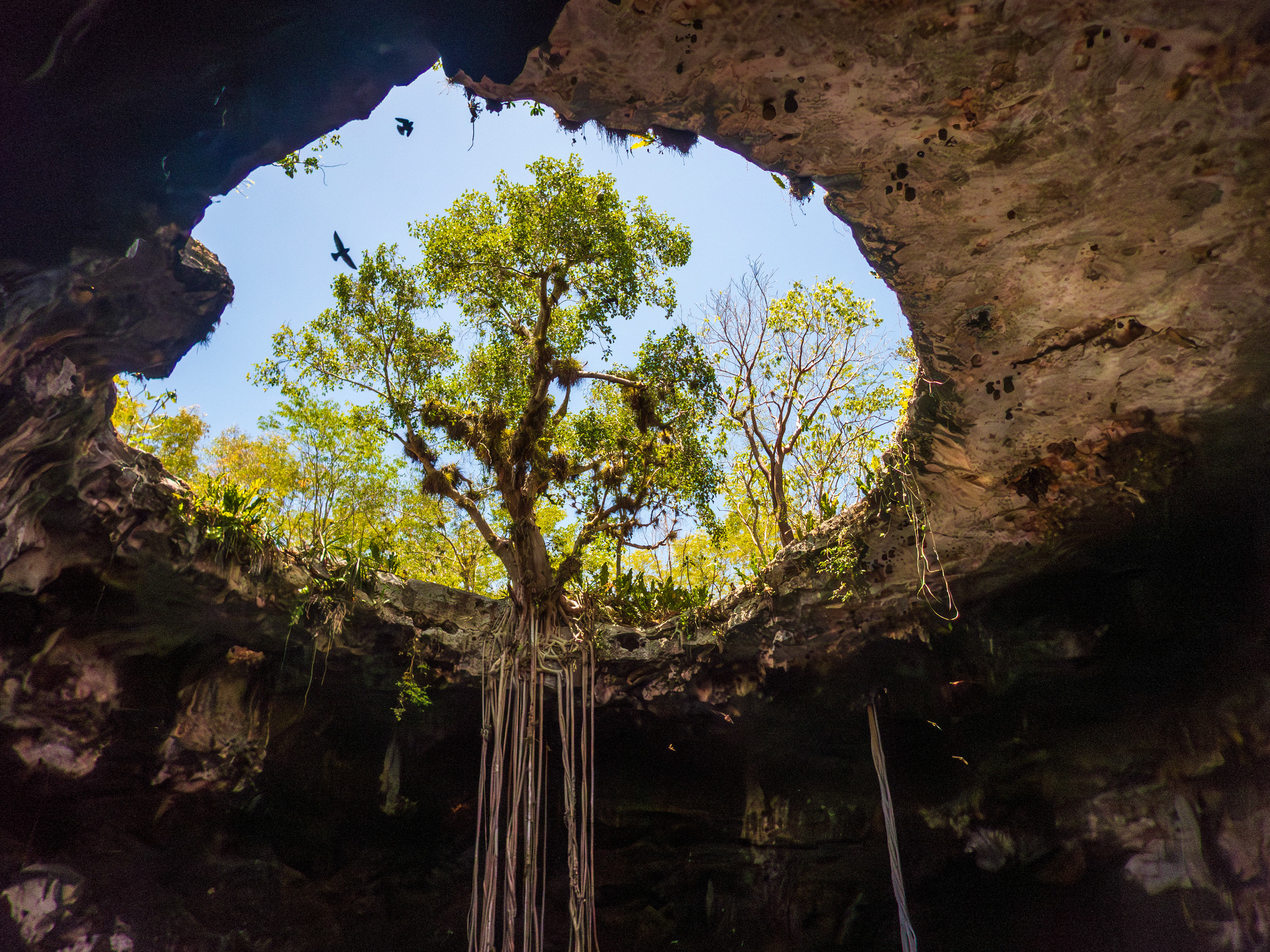 Cénote Xooch, semi ouvert et le plus charmant