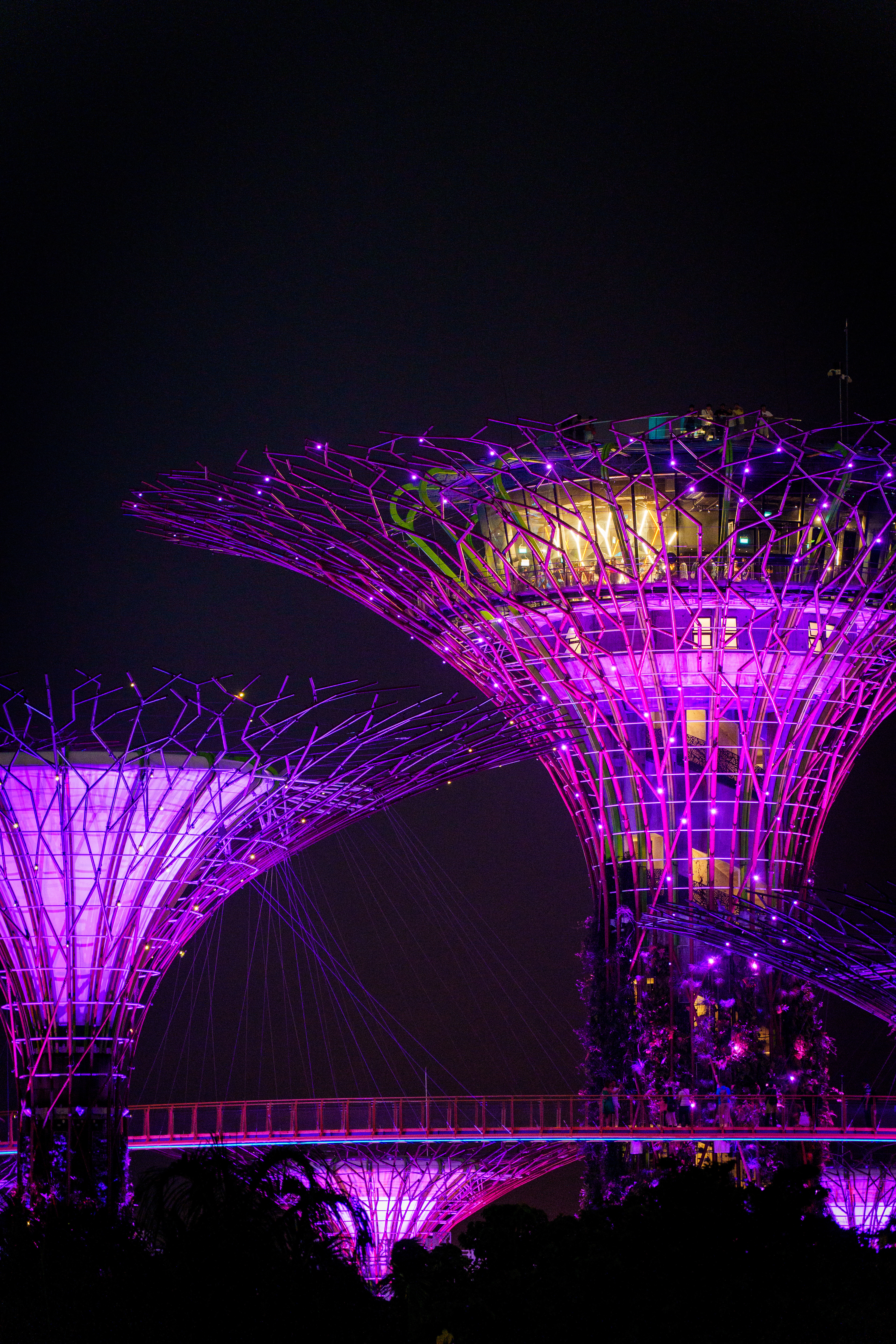 Show nocturne , point de vue gratuit