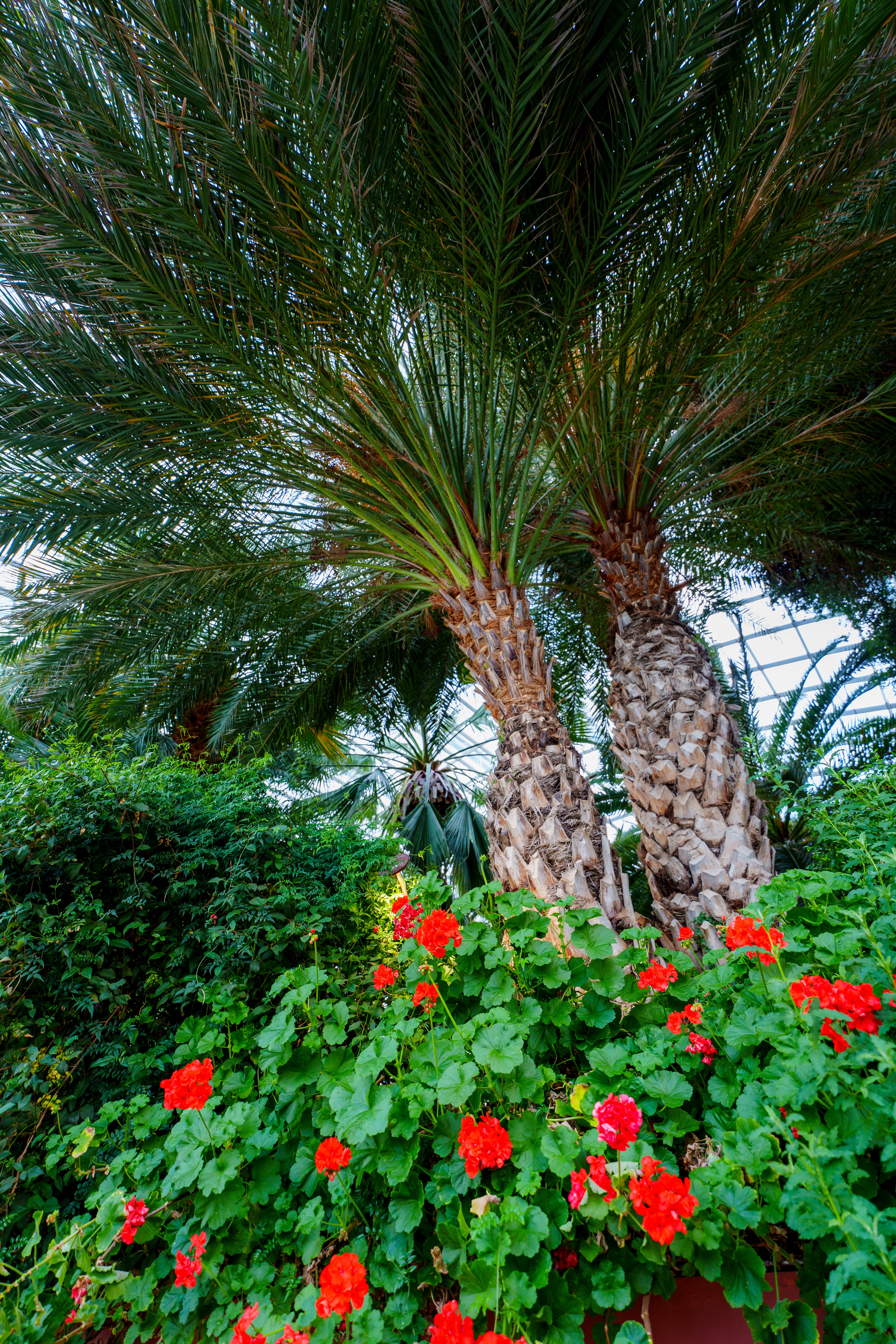 Flower Dome