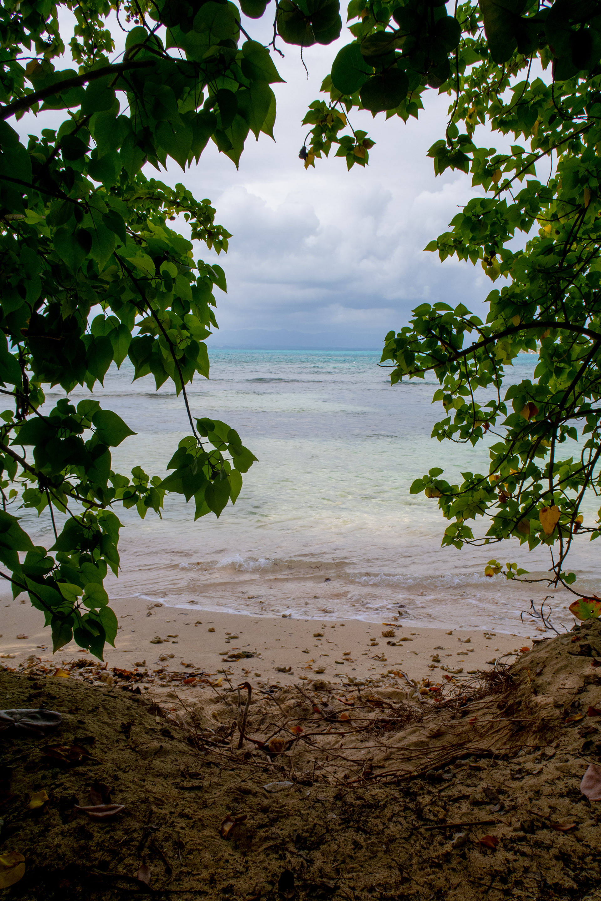 sur l'îlet du Gosier