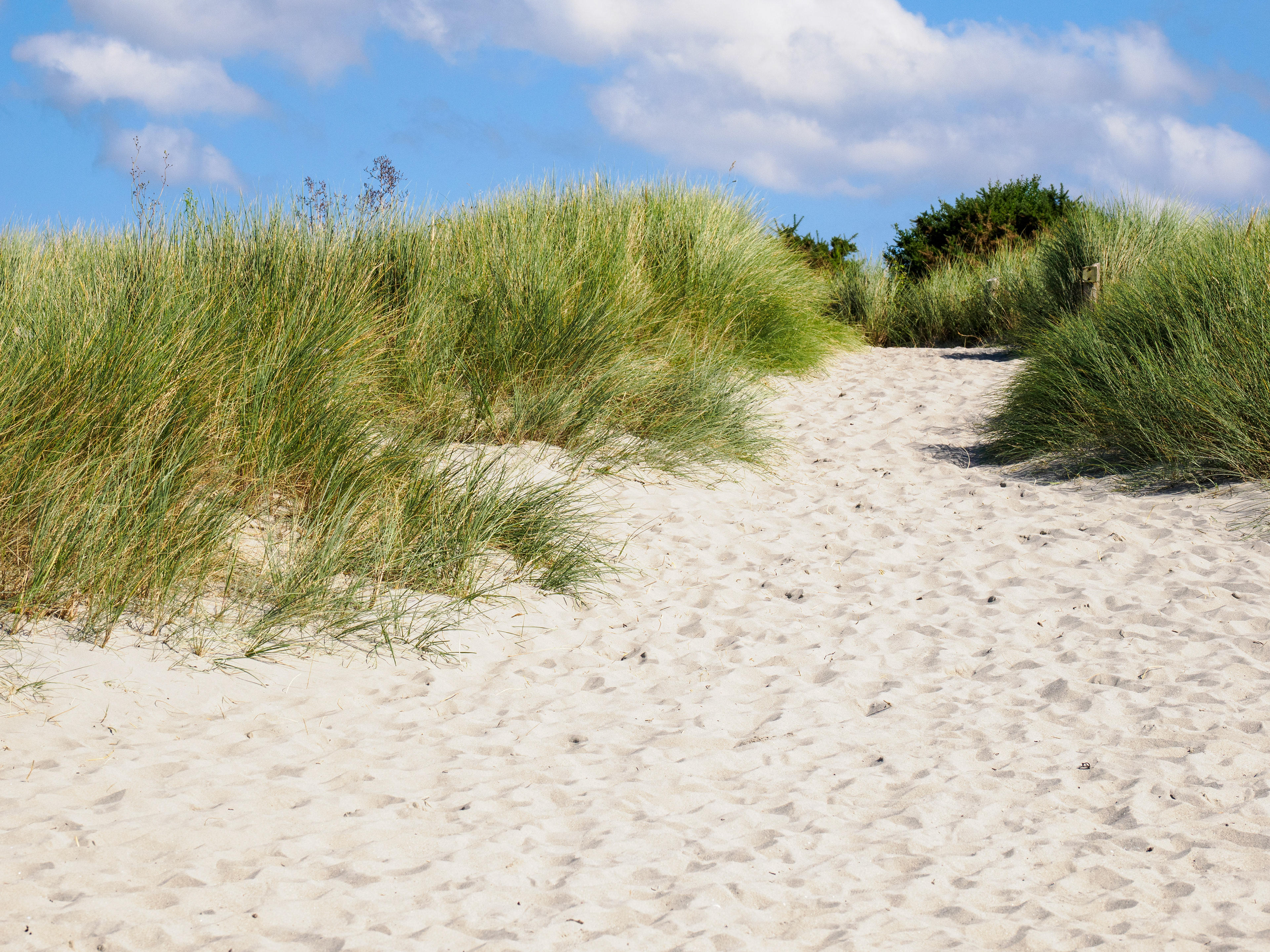 passage dans les dunes