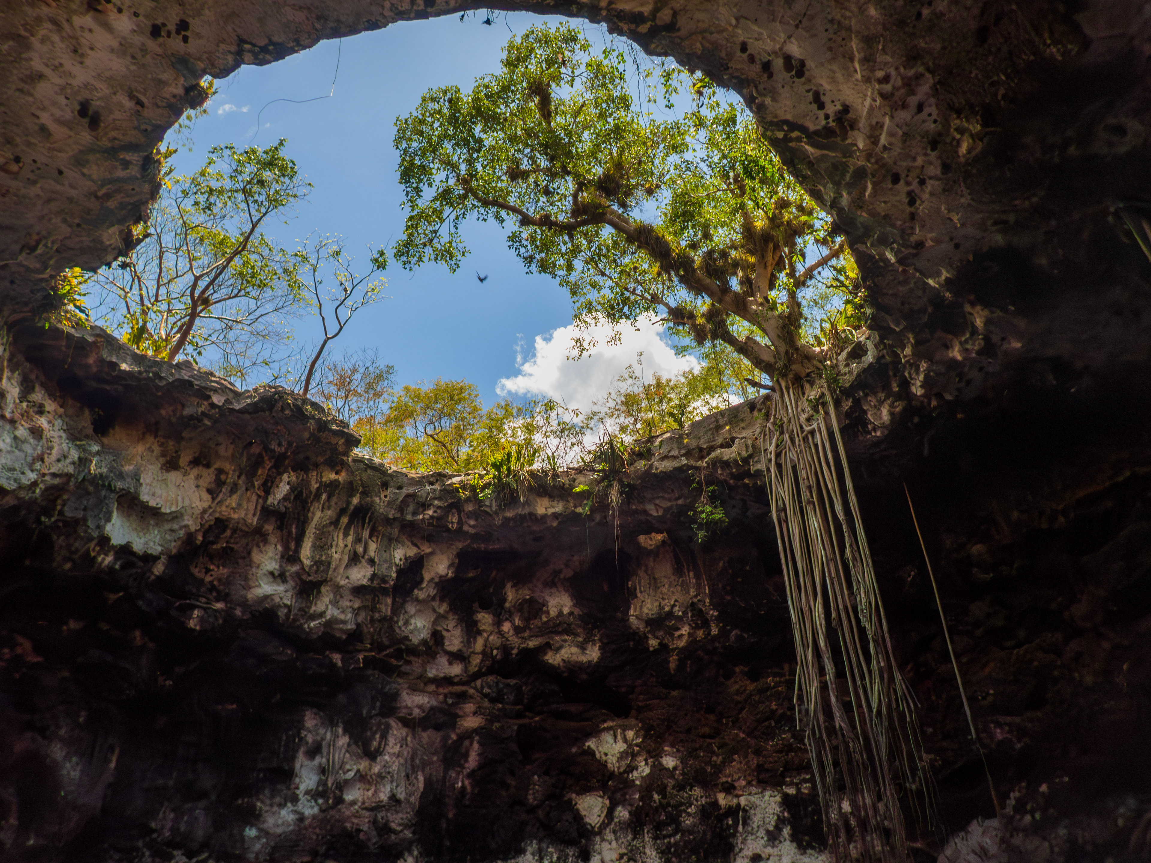 Cénote Xooch, semi ouvert et le plus charmant
