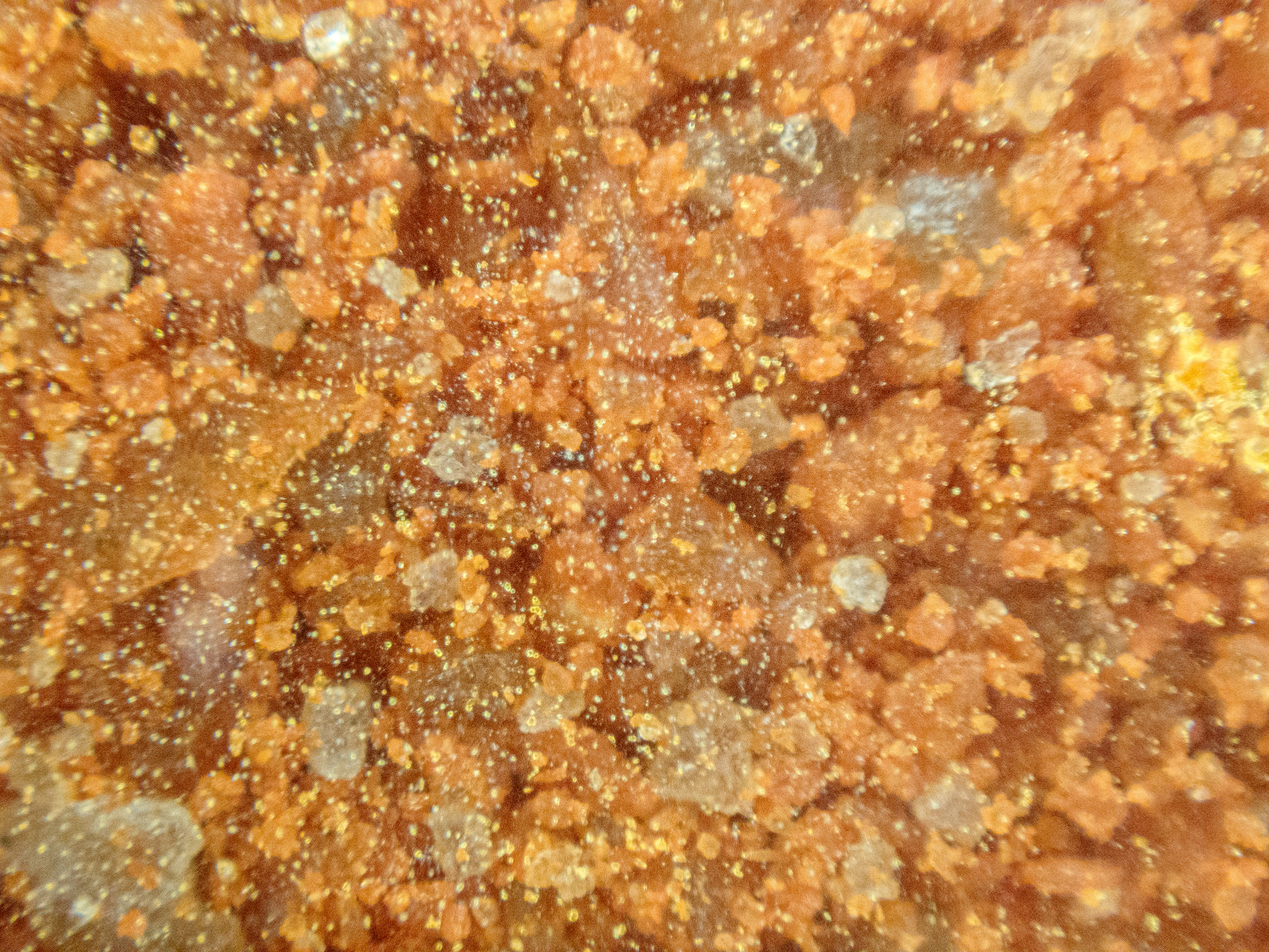 Sel au piment, provencance : argentine