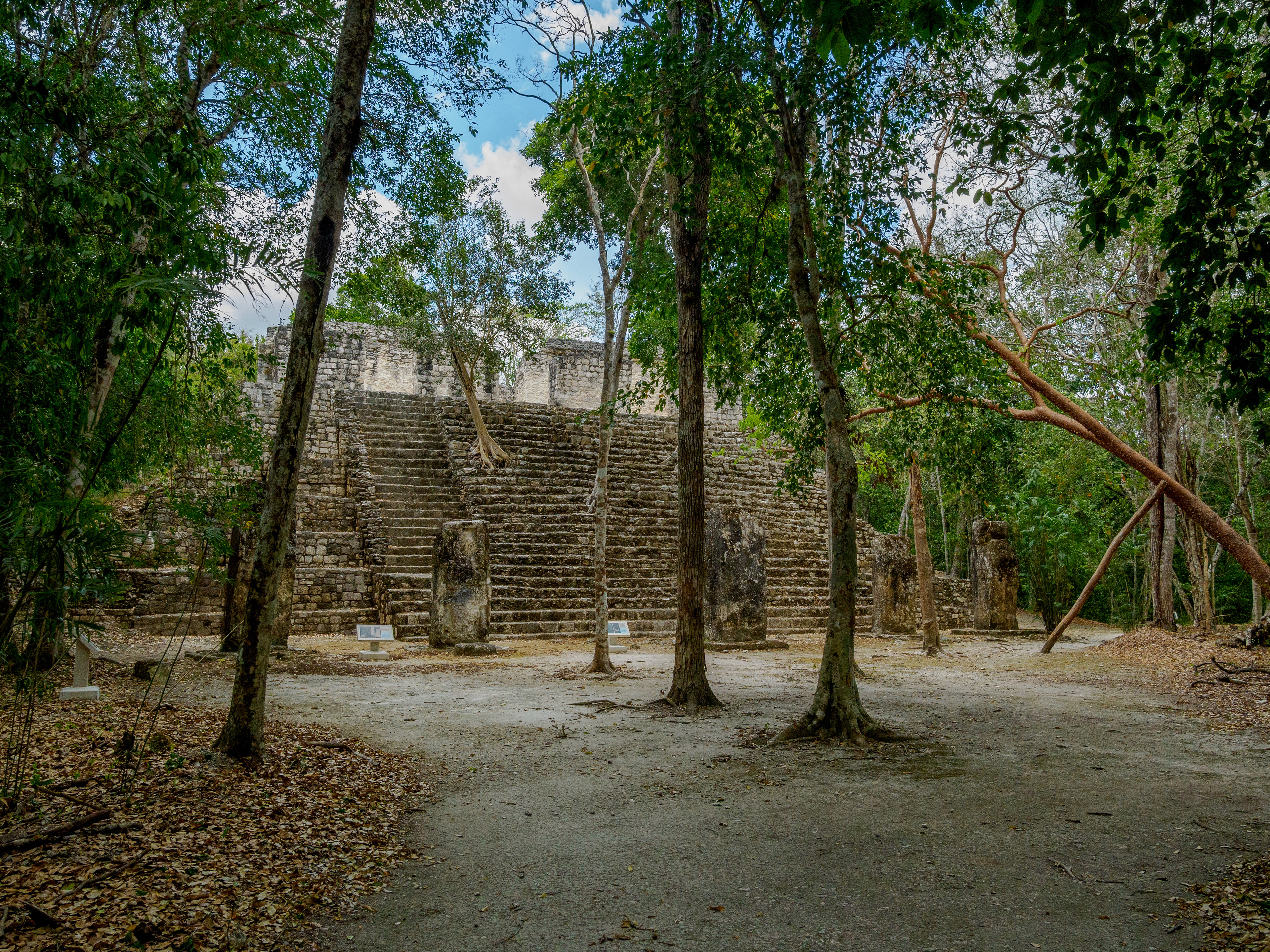 qui deviennent plus imposantes