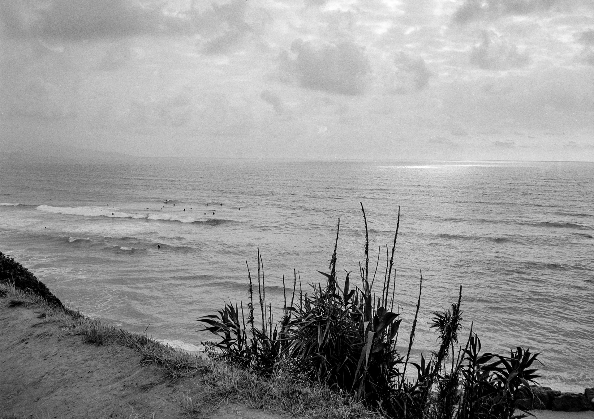 Pentax 17, Ilford XP2