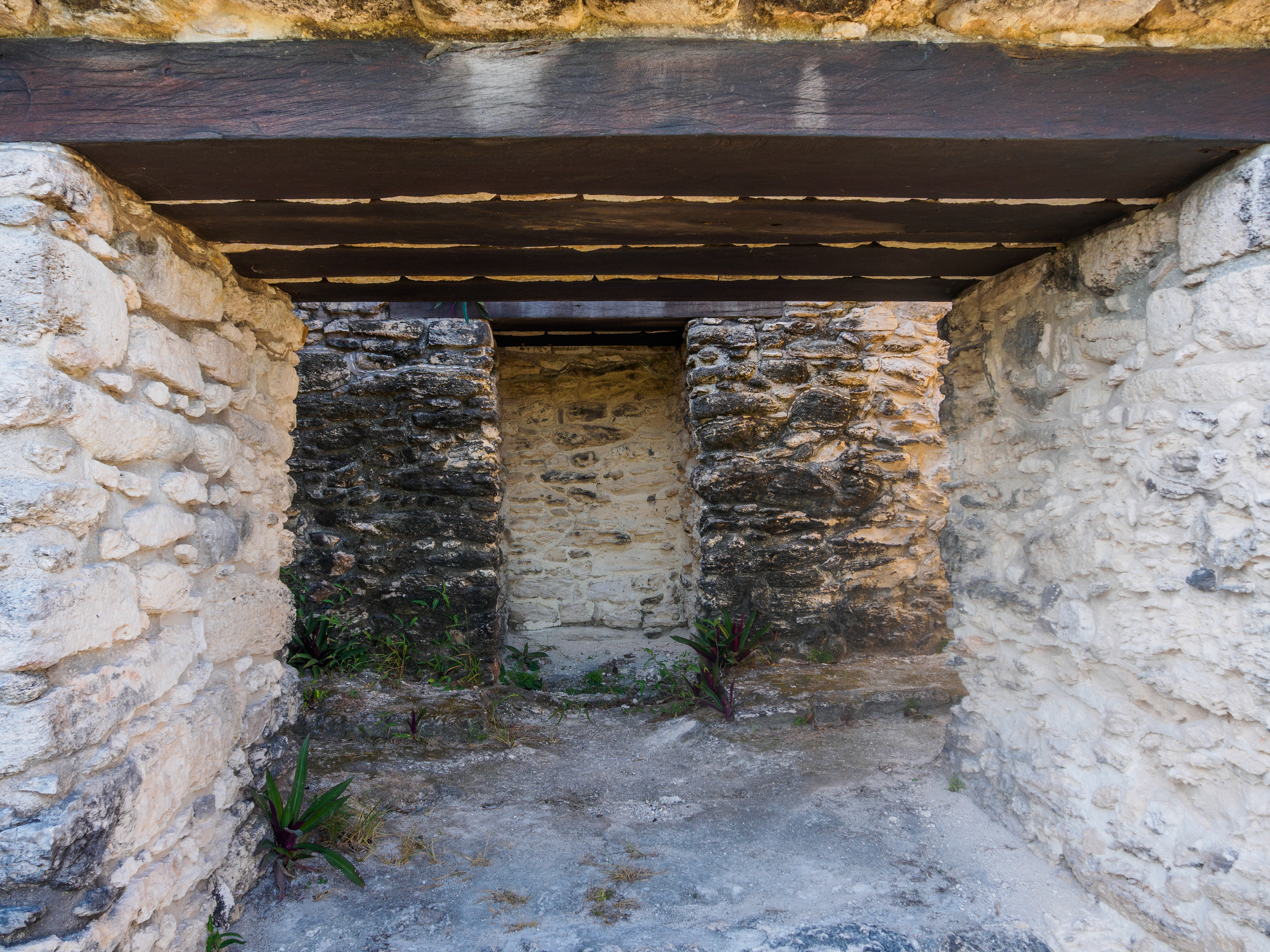 Nous ne sommes pas trop resté dans le coin, un essaim bourdonnait bruyamment ... Des abeilles maya sans dard ? aucun certitude  ... et aucune envie de dévaler la pyramide en courant ...