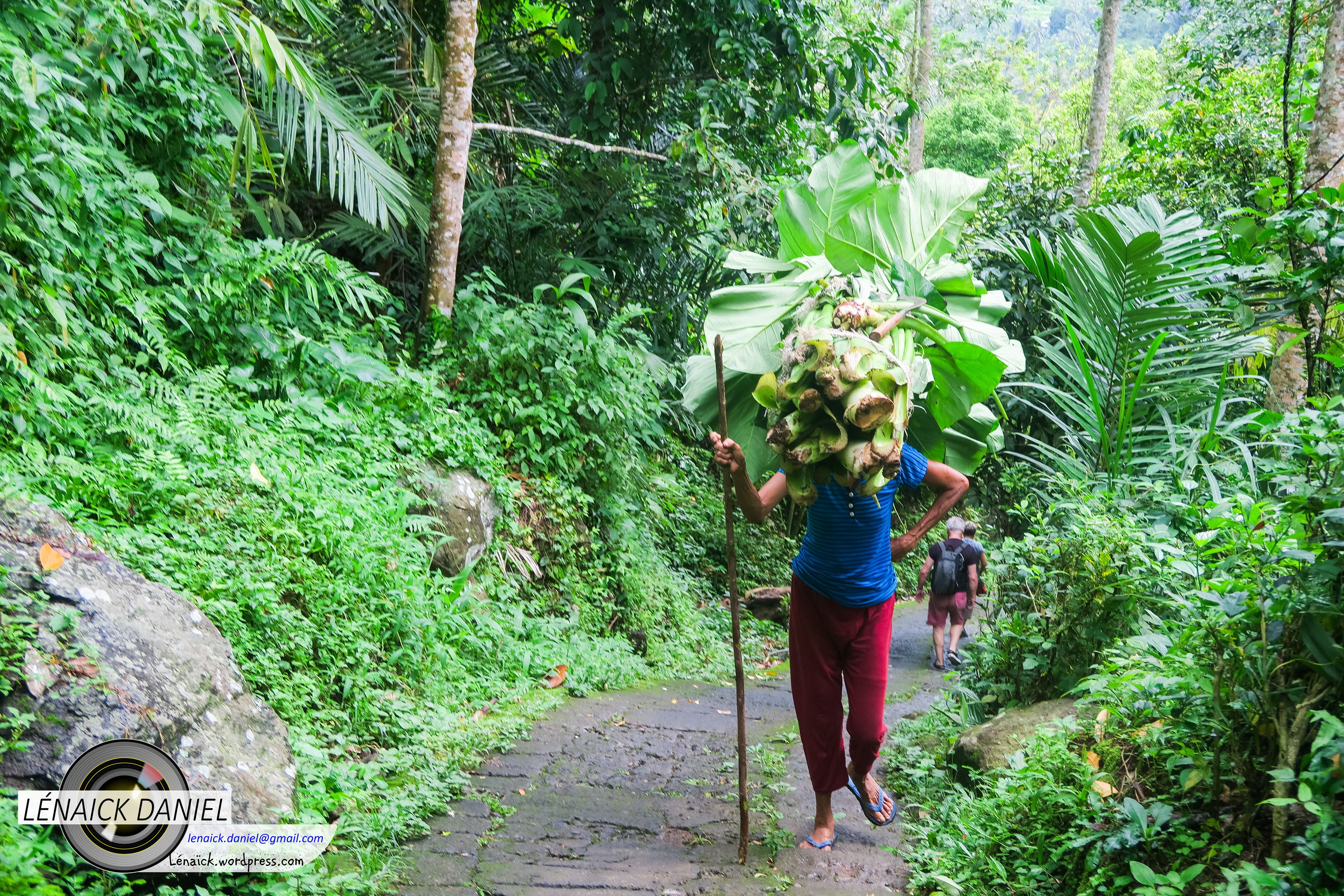 Sur la route des chutes de Sekumpul