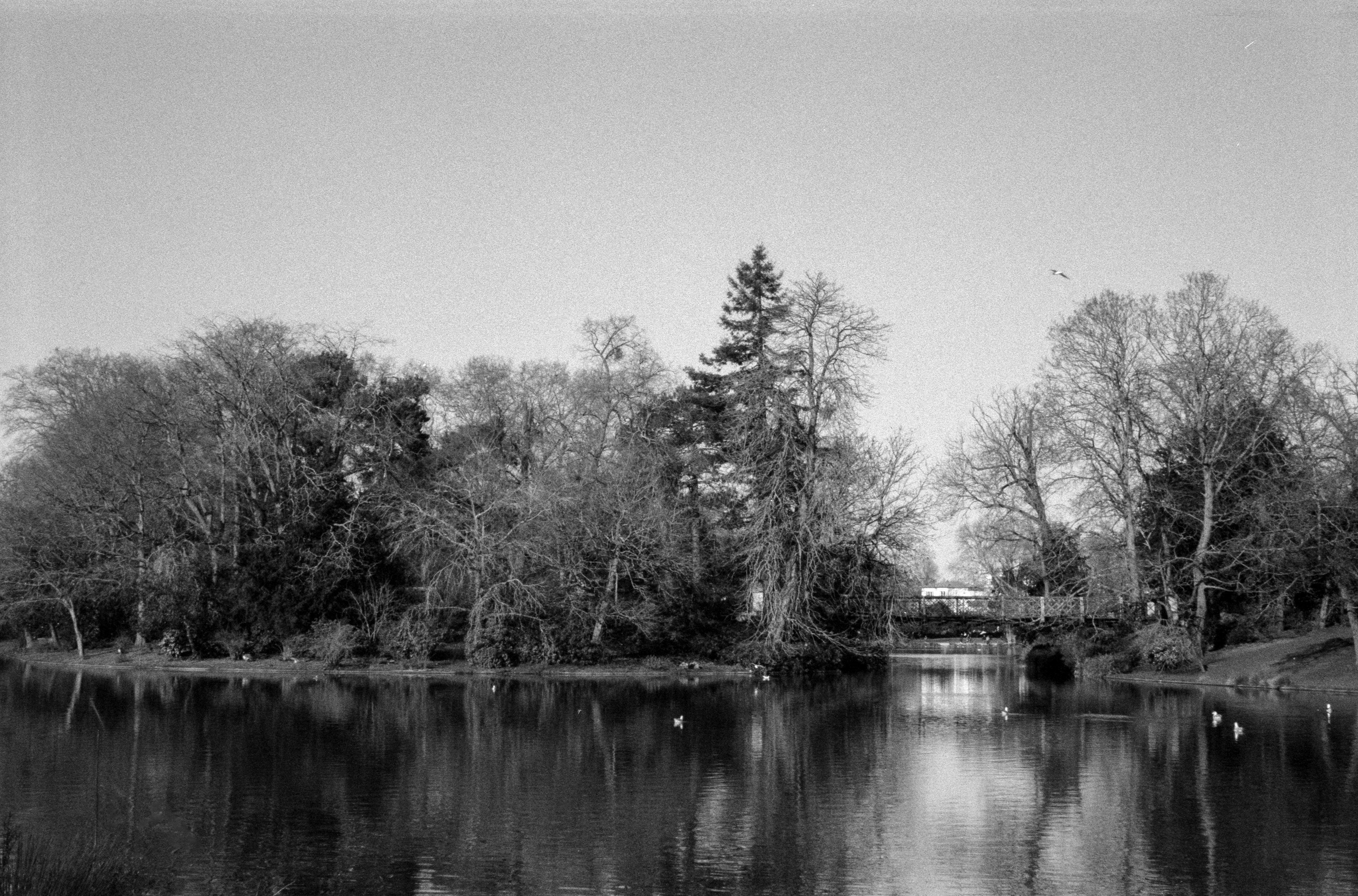 Lac Daumesnil