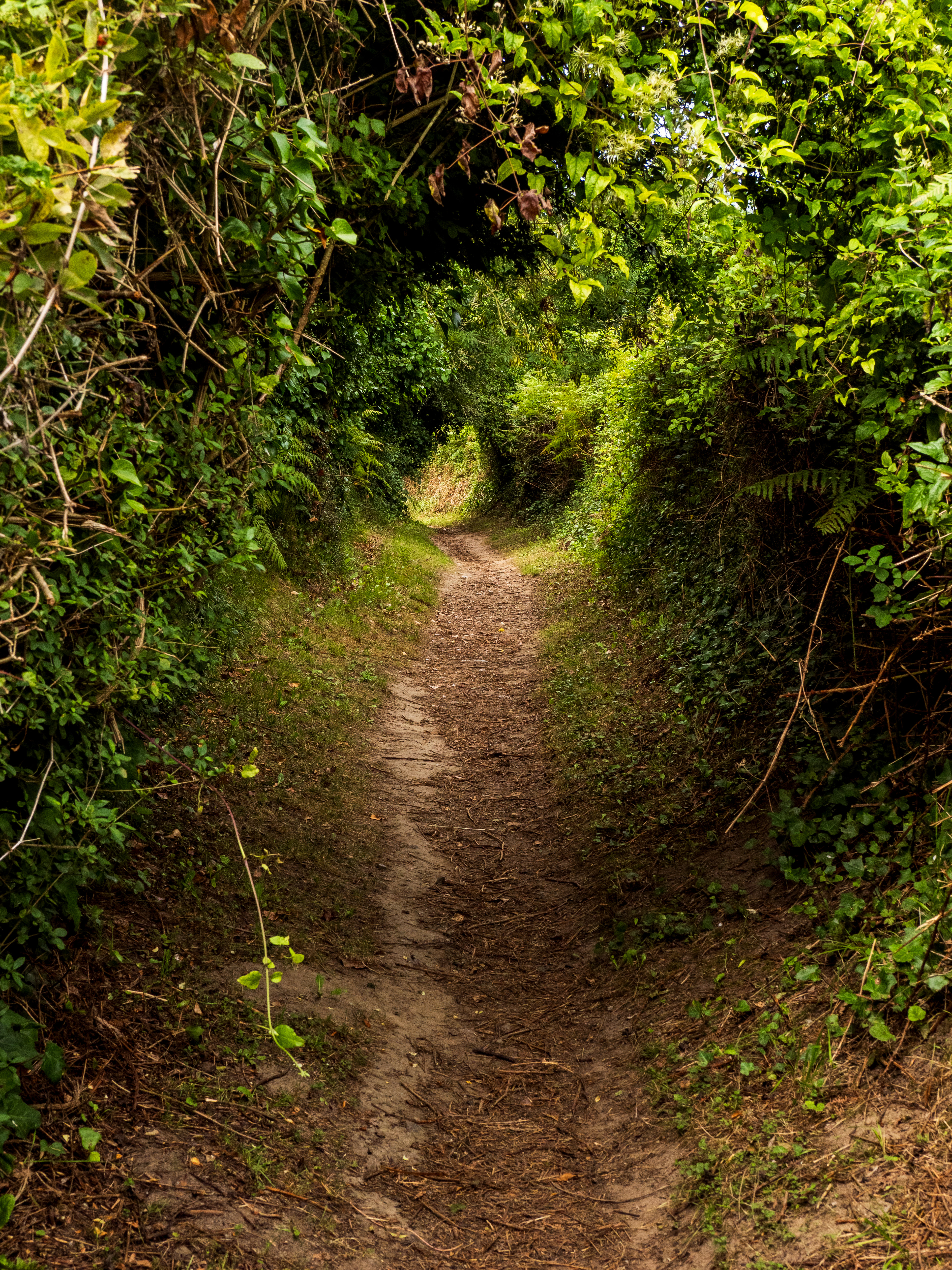 sentier des douraniers
