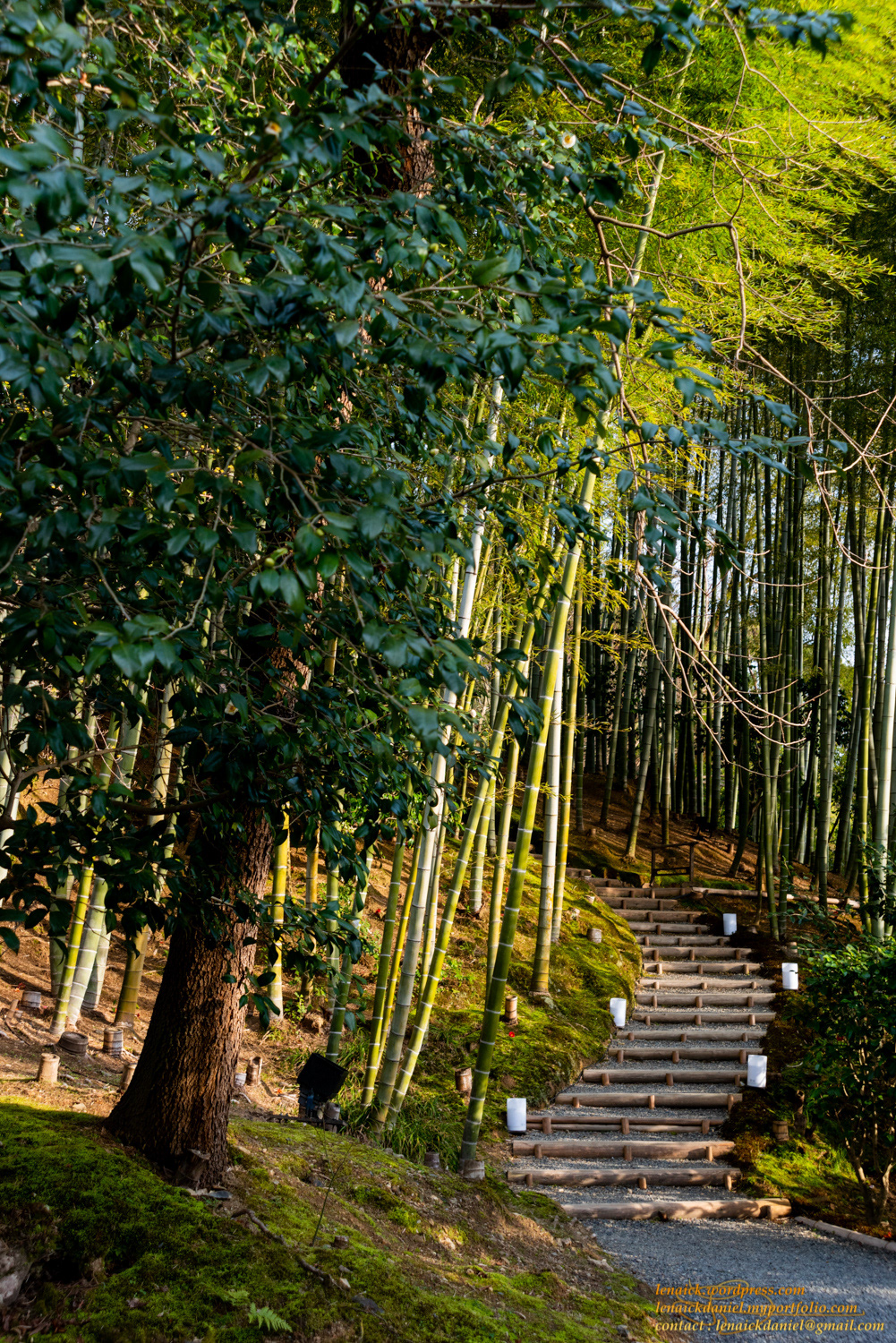 Temple Kodaiji