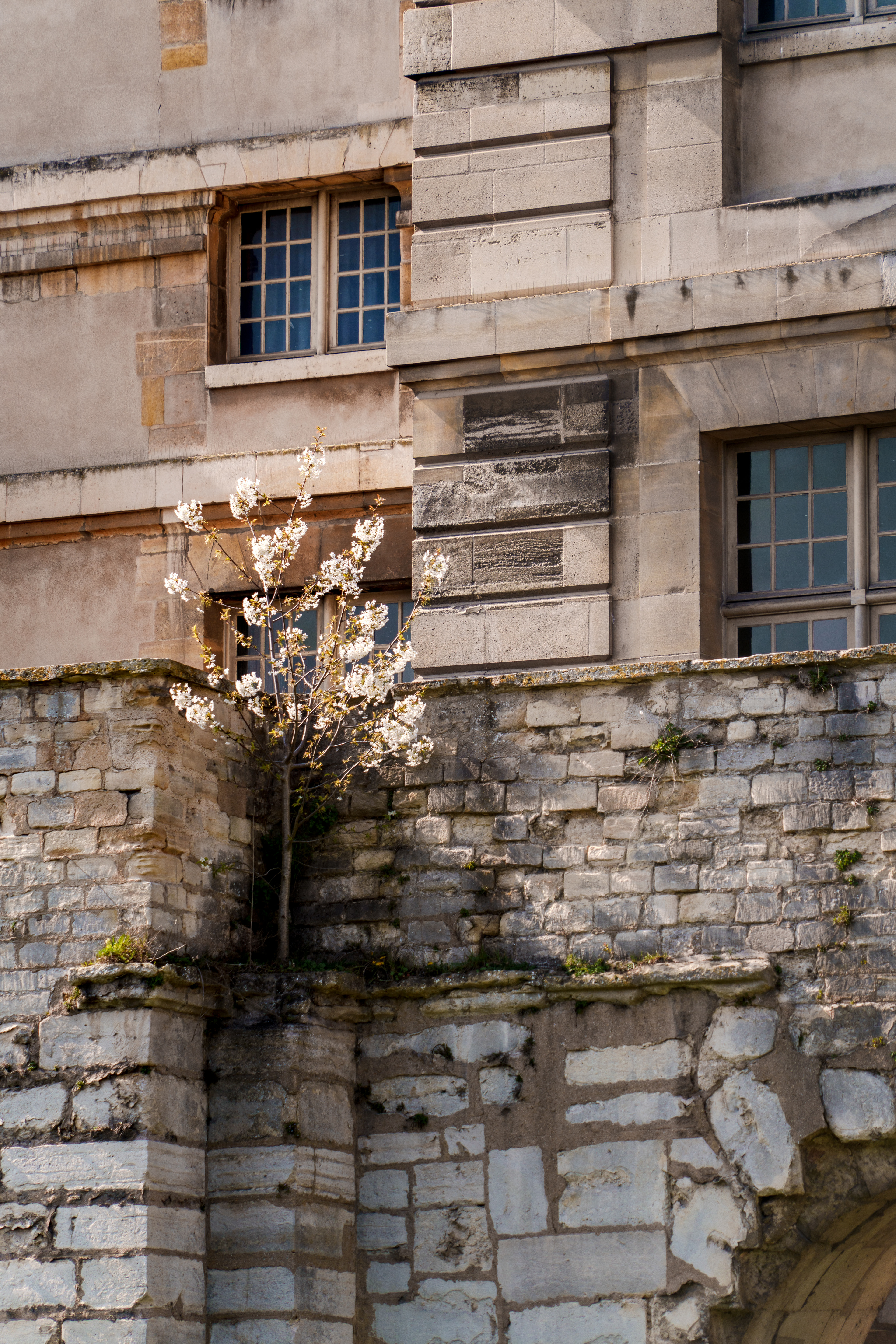 Détail du château de Vincennes