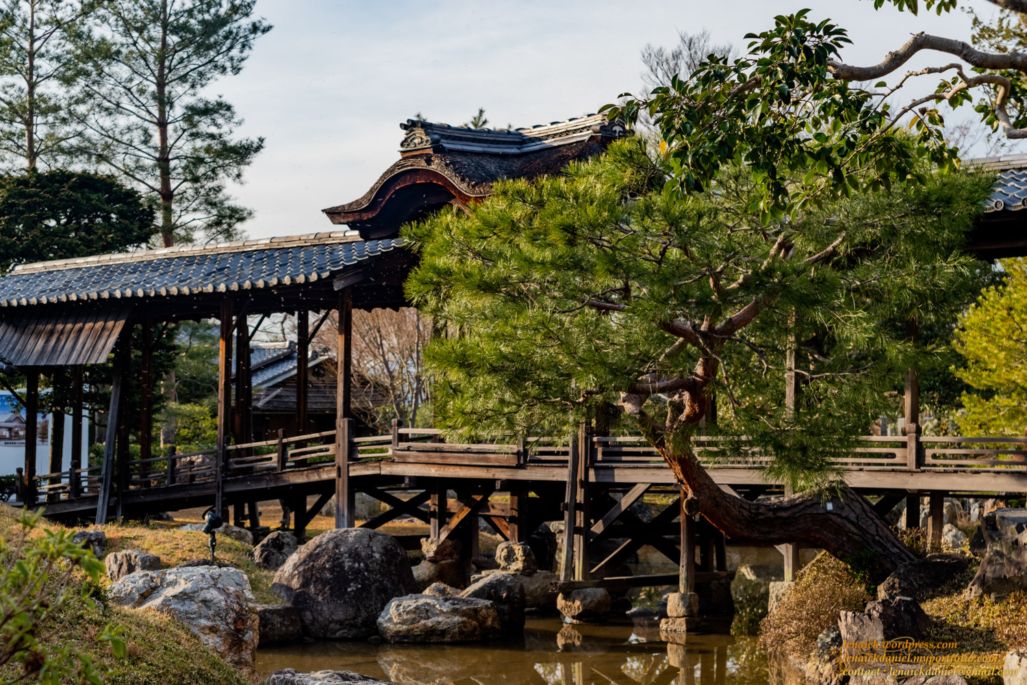 Temple Kodaiji