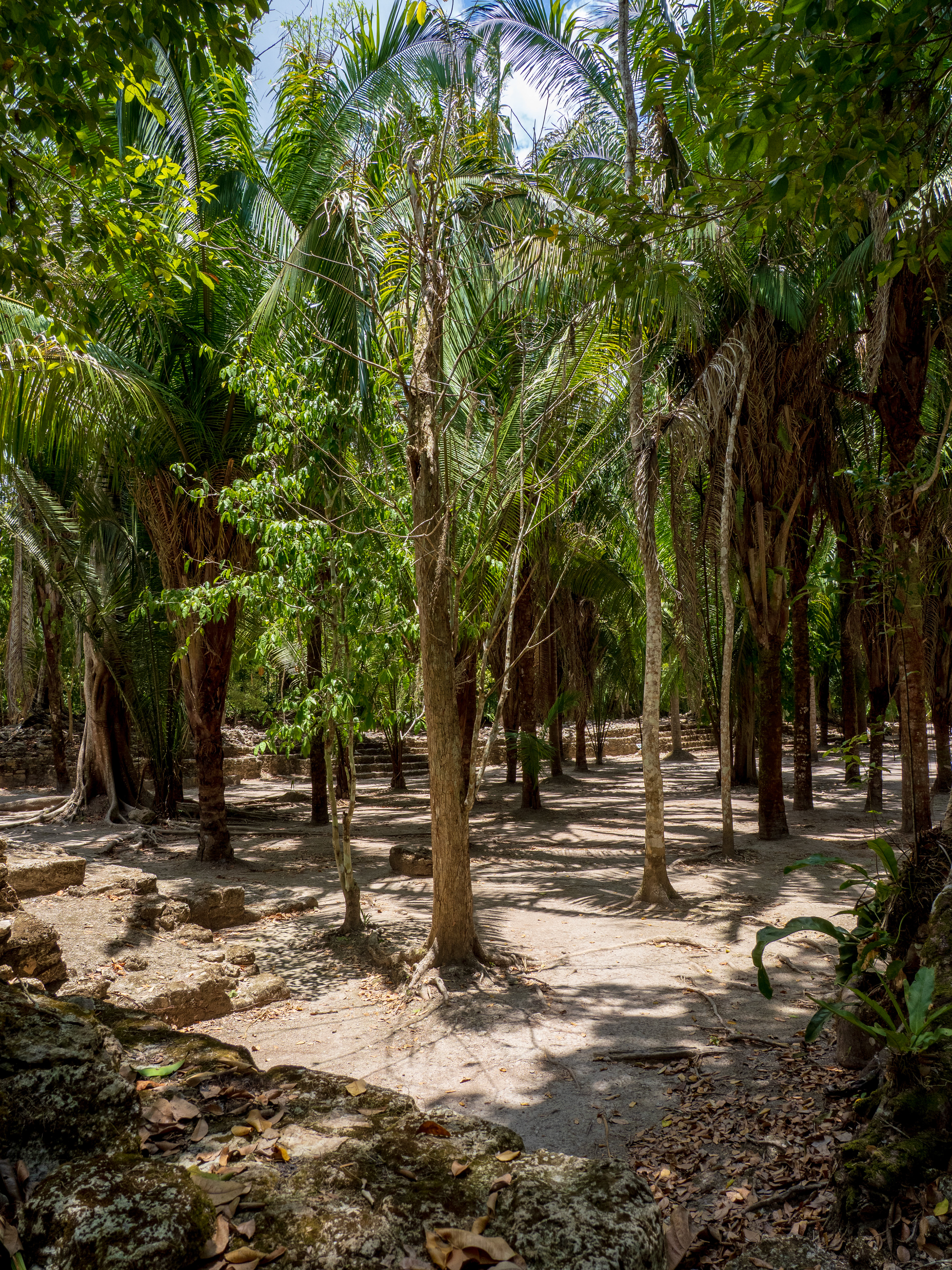 la place principale, perdue dans la jungle