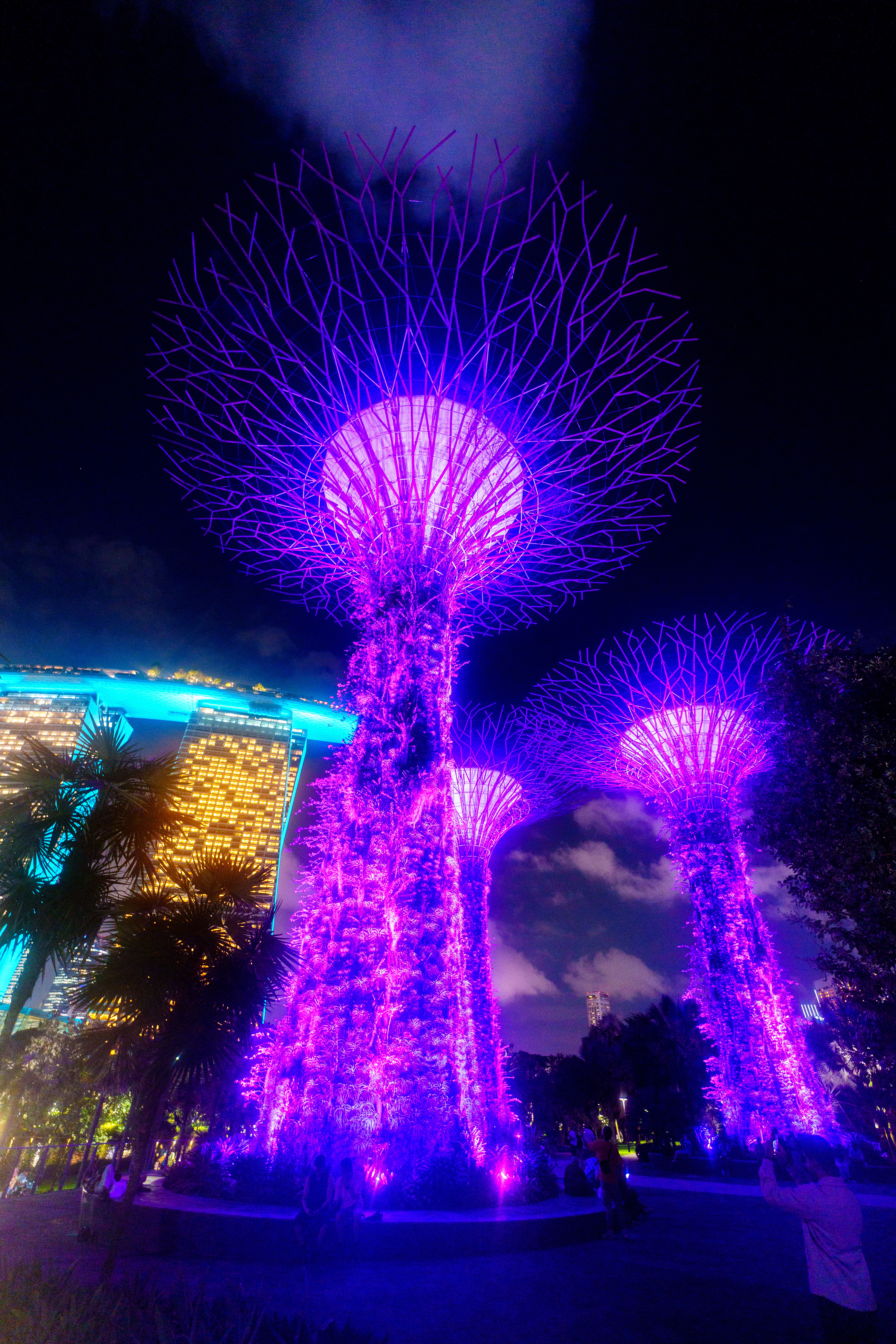 Show nocturne , point de vue gratuit