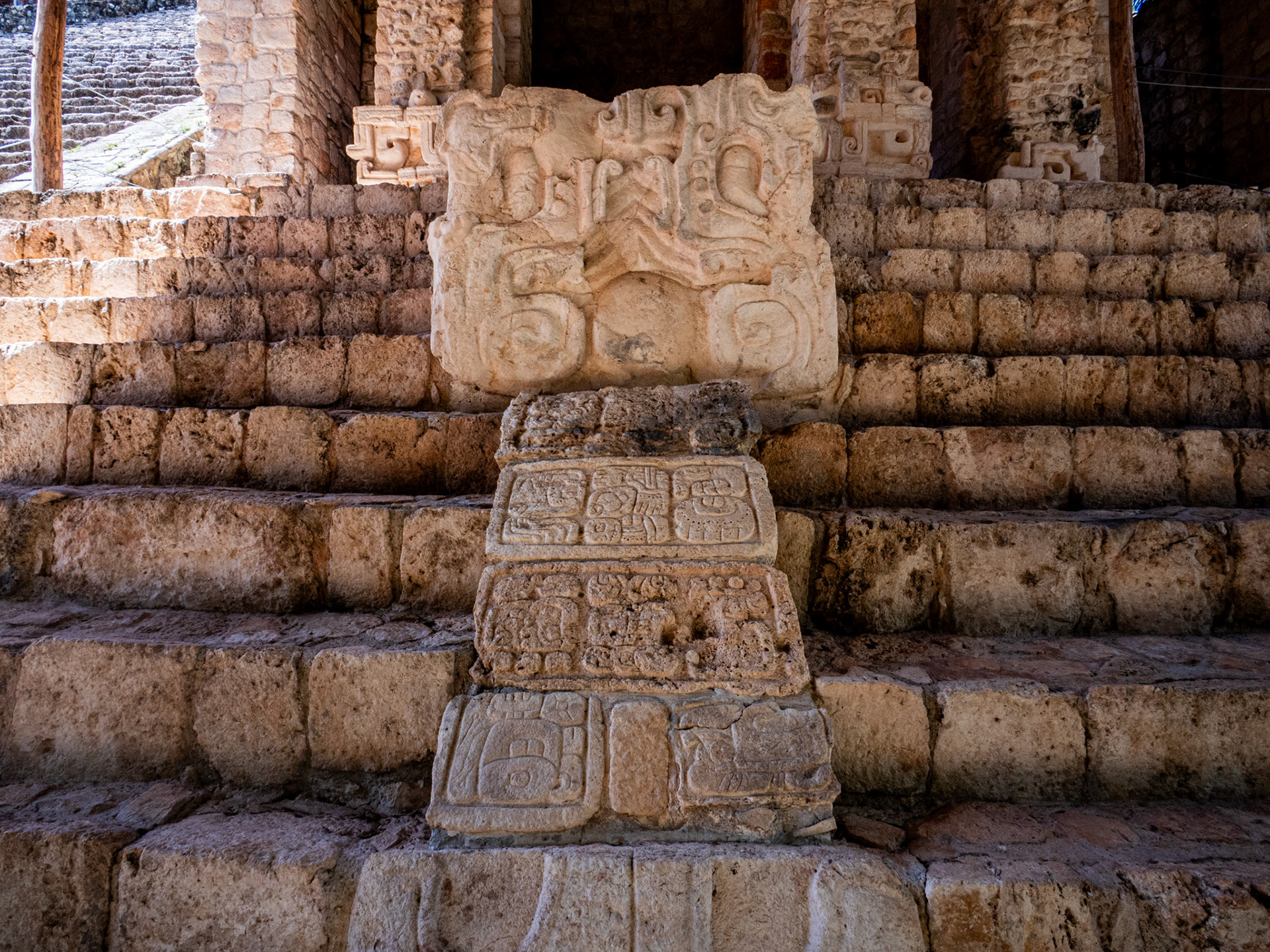 Tête de serpent, acropole.