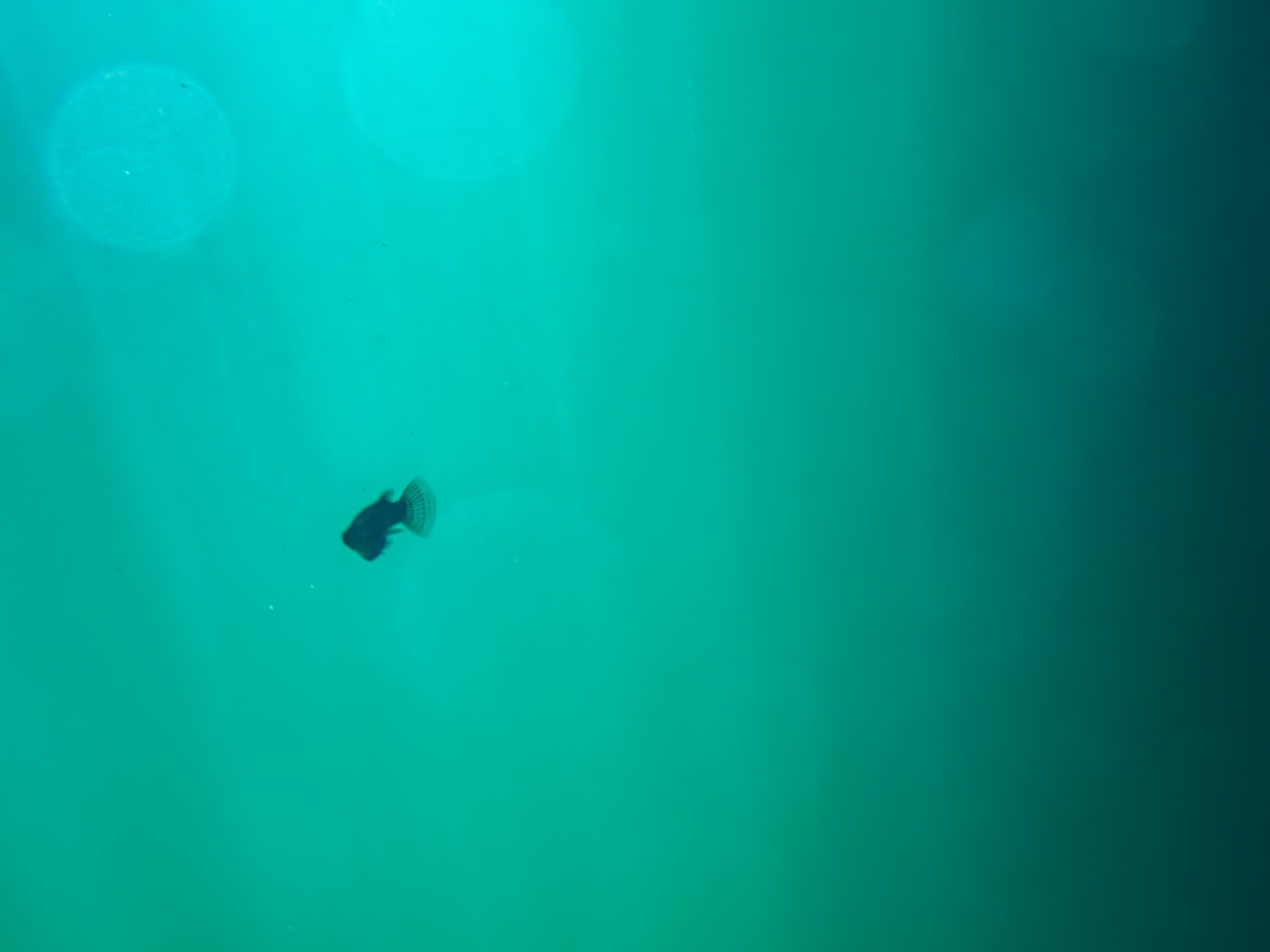 Cénote Xooch, semi ouvert et le plus charmant