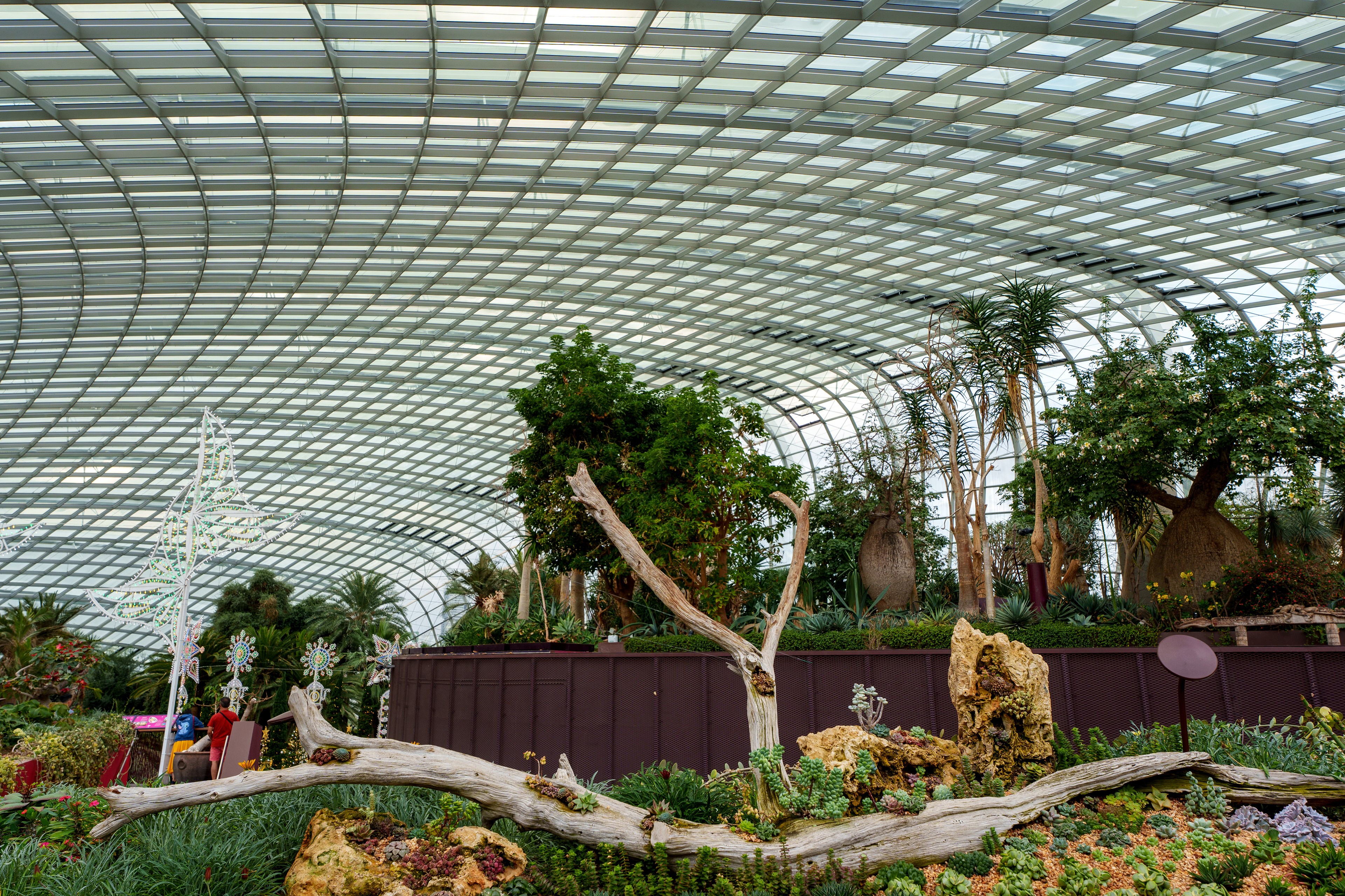 Flower Dome
