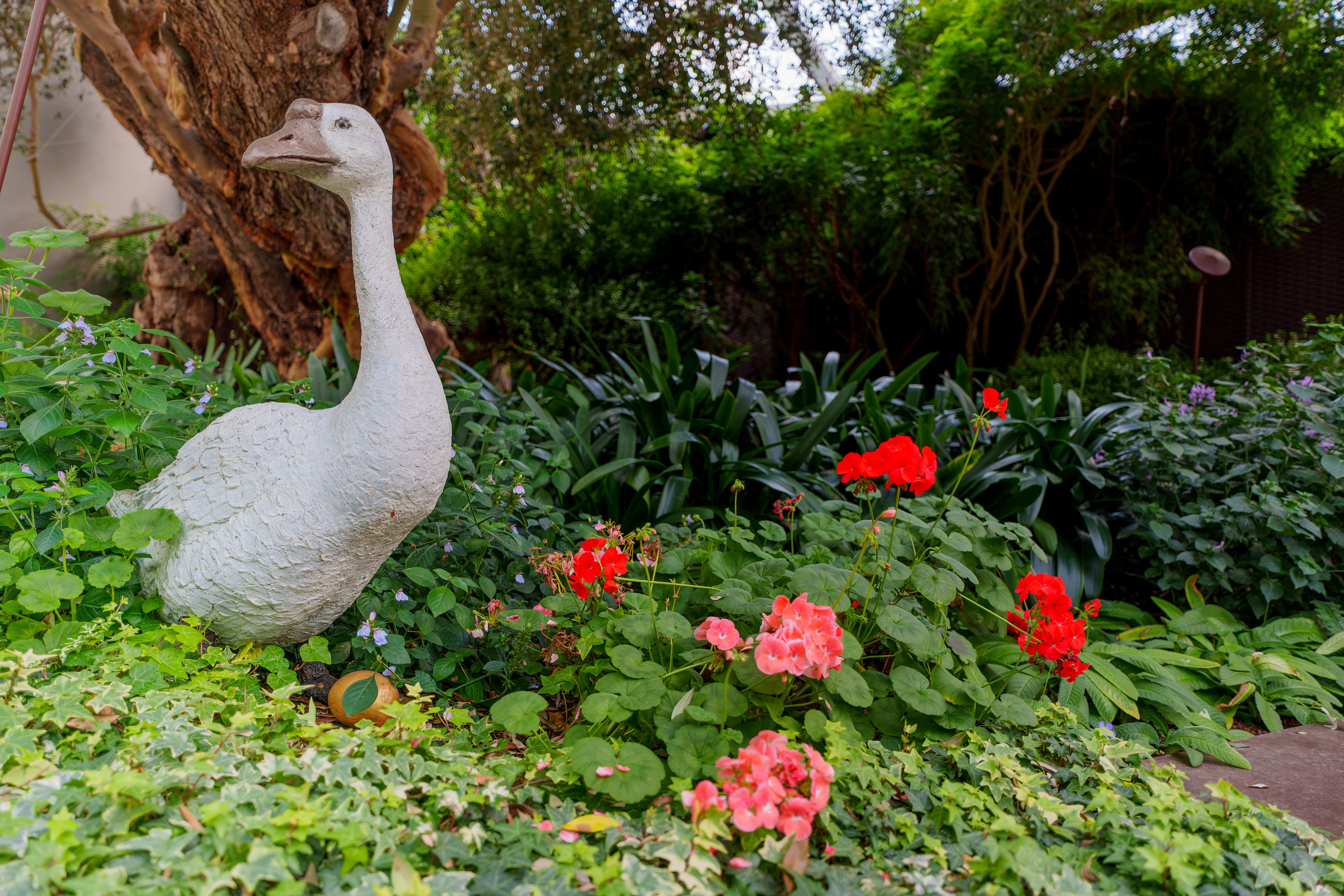 Flower Dome