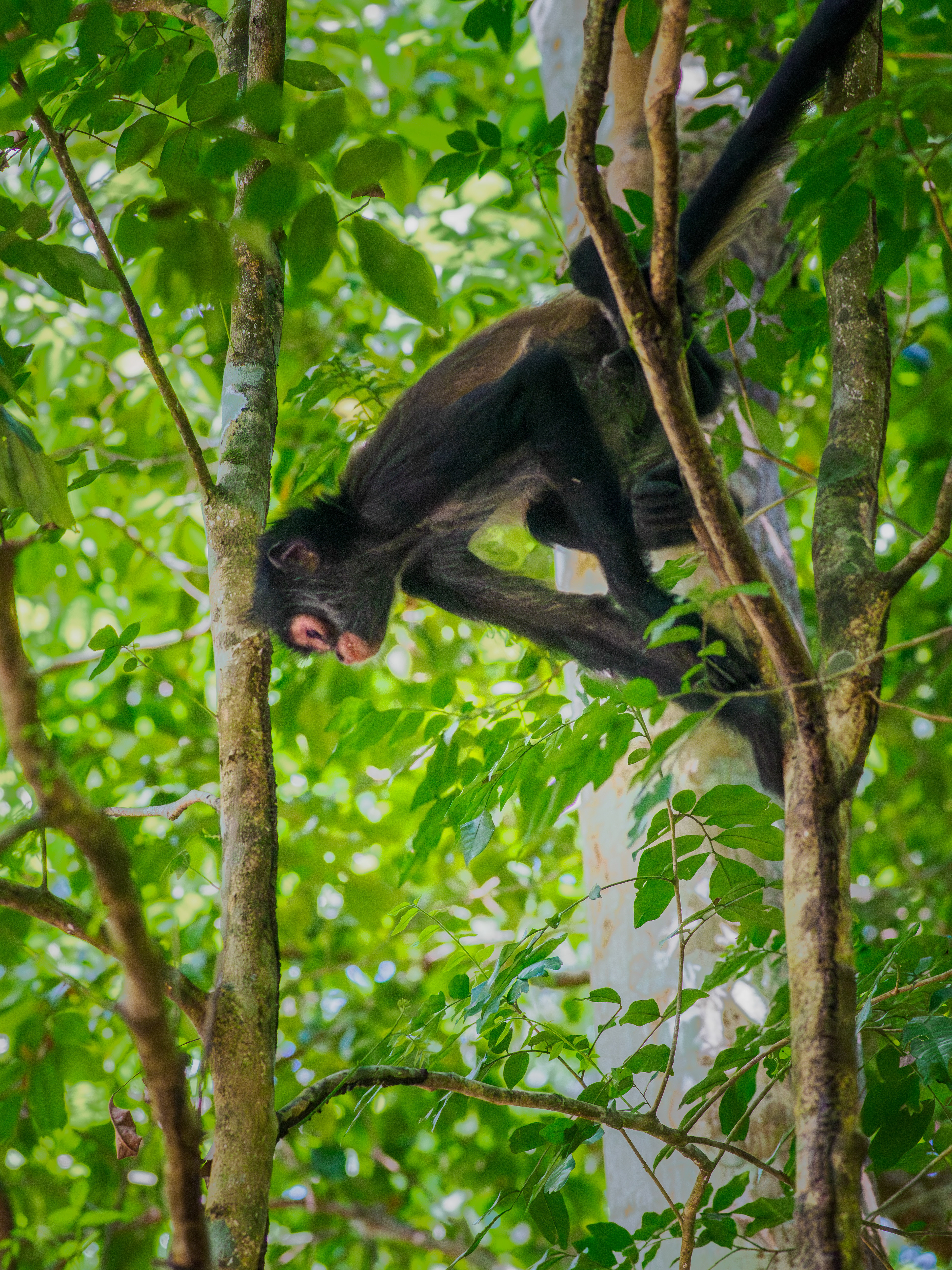 une photo prise à l'endnroit, pour ceux qui auraient un doute ...