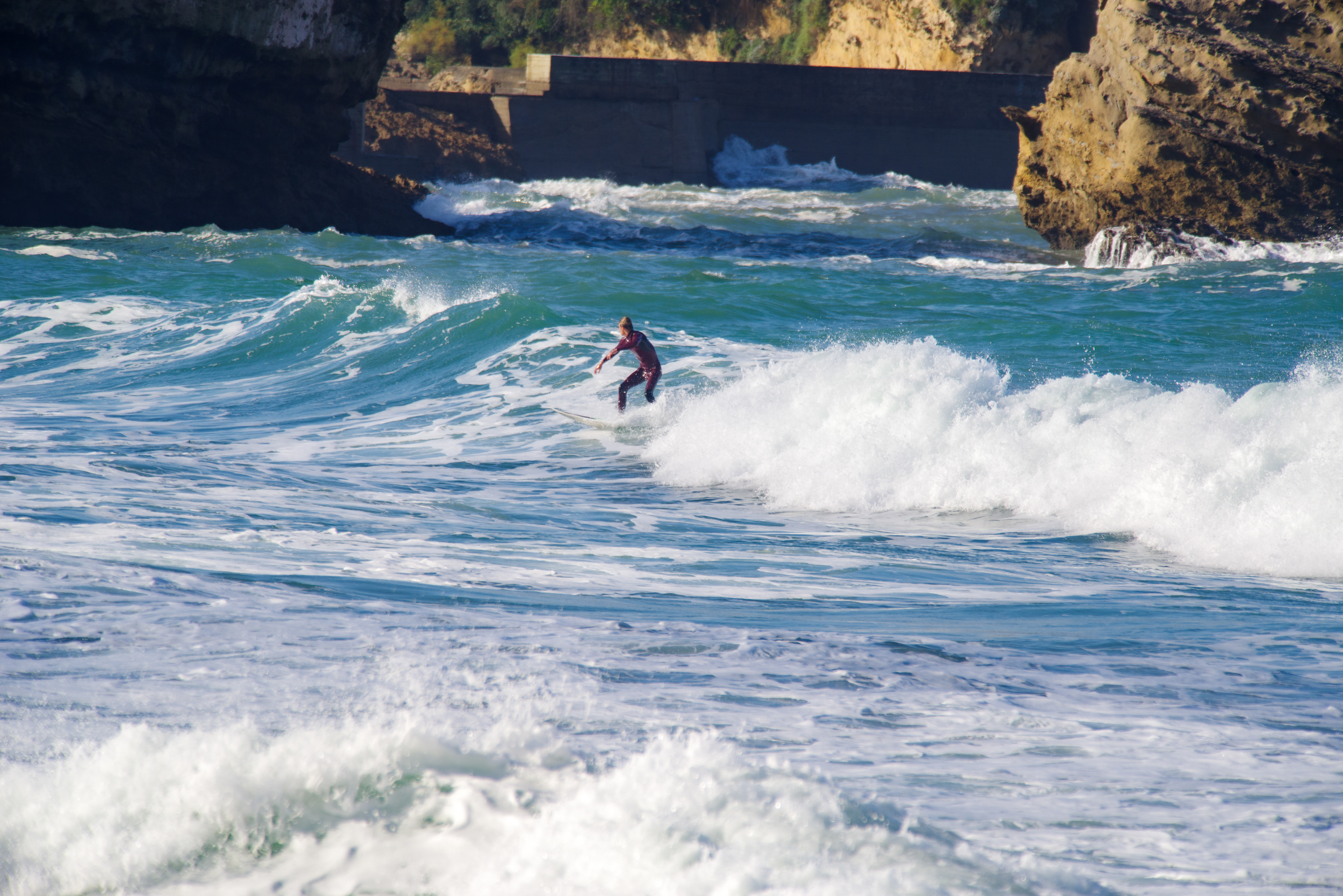 surfeurs