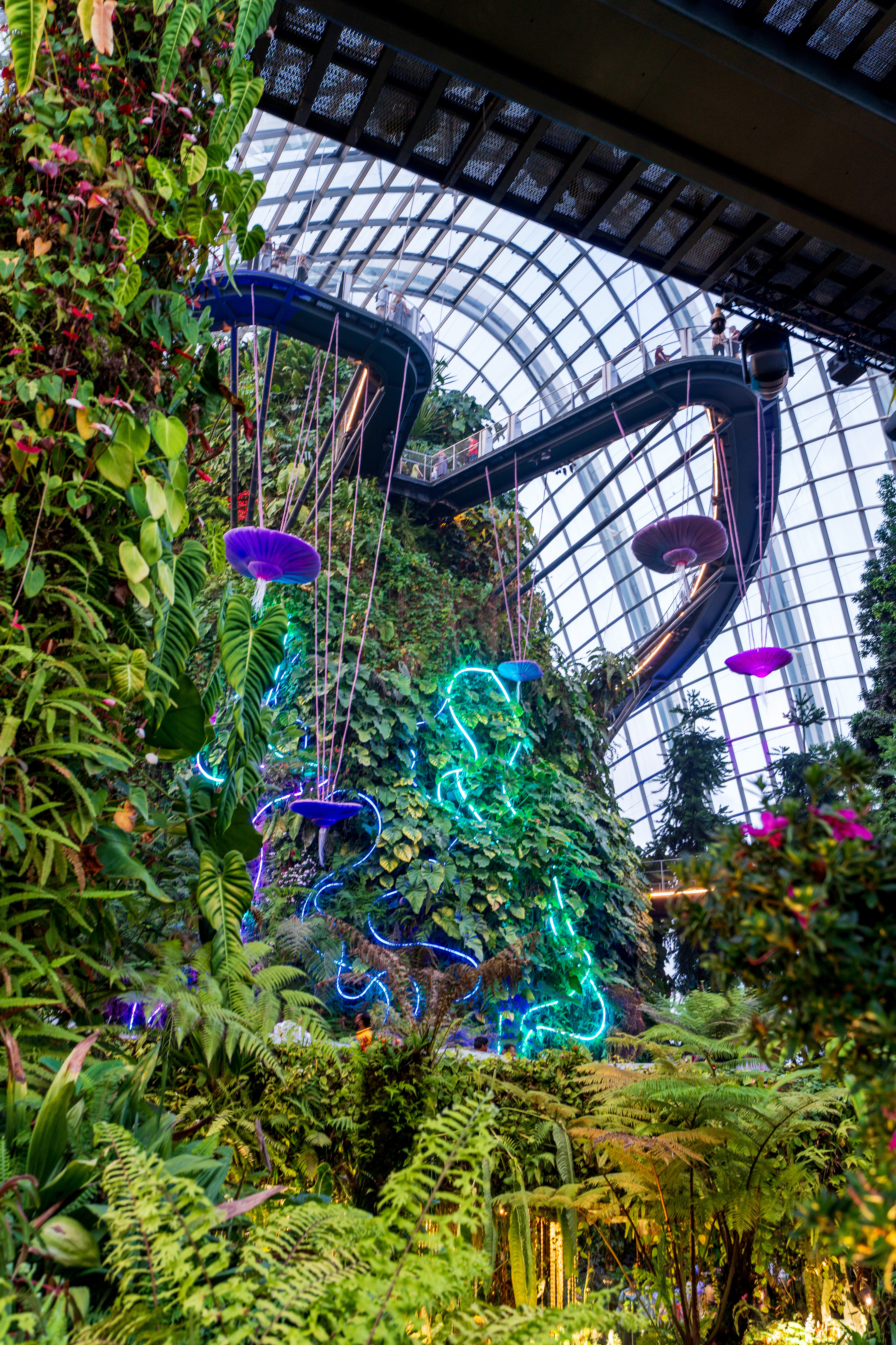 Cloud Forest