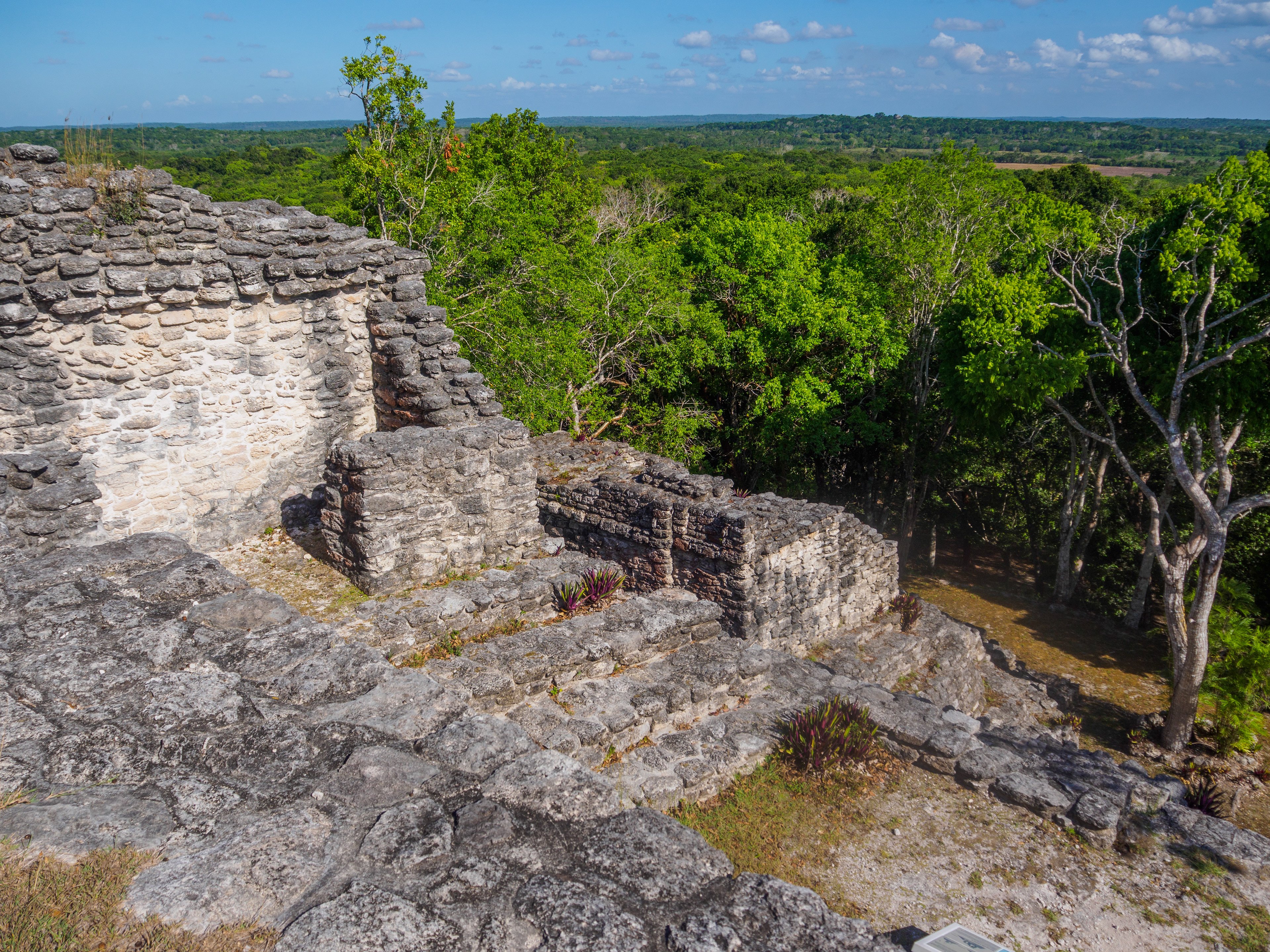 la vuue sur la jungle en haut de la pyramide