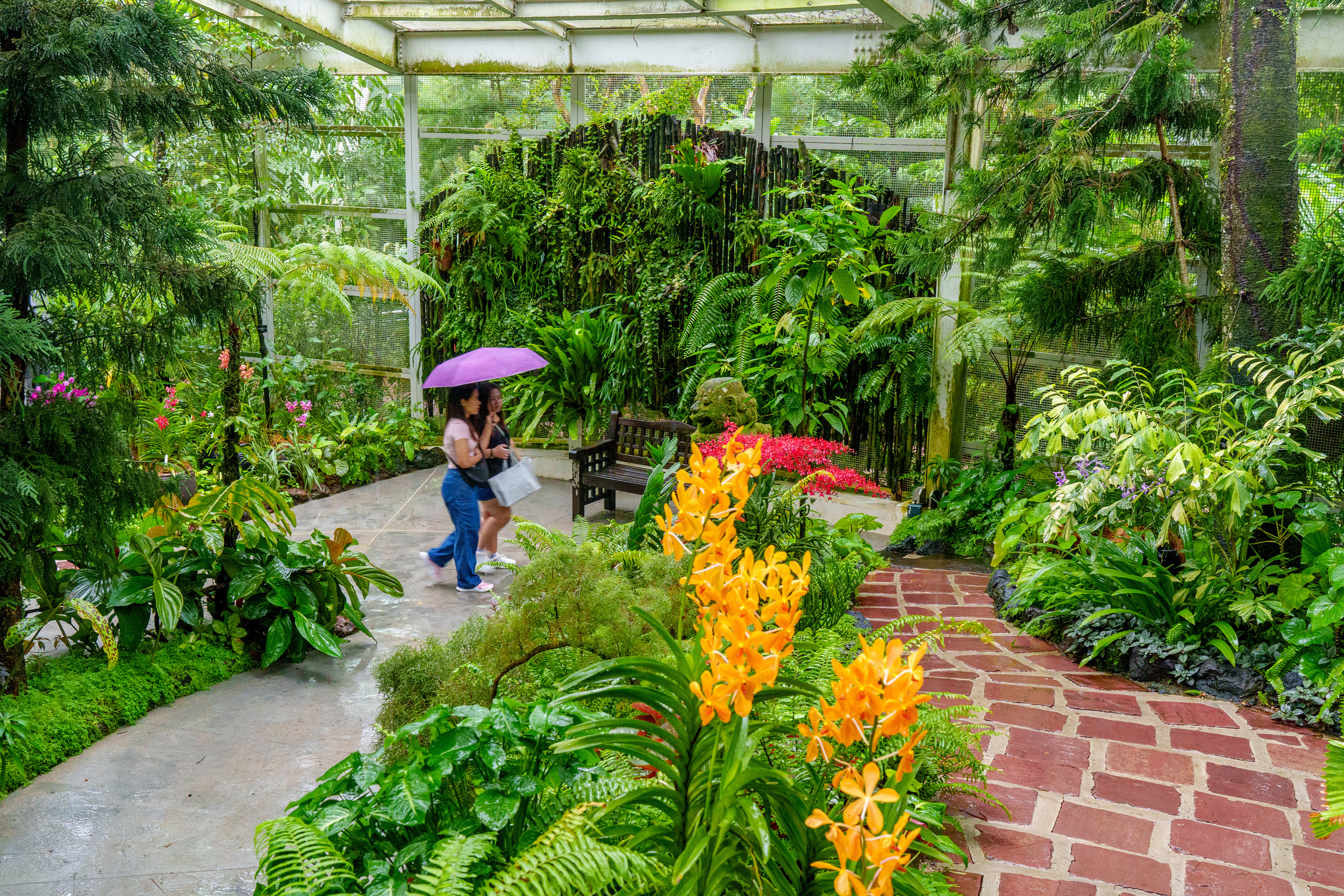 siousjardin des orchidées