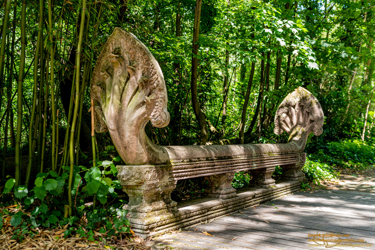 Pont aux najas