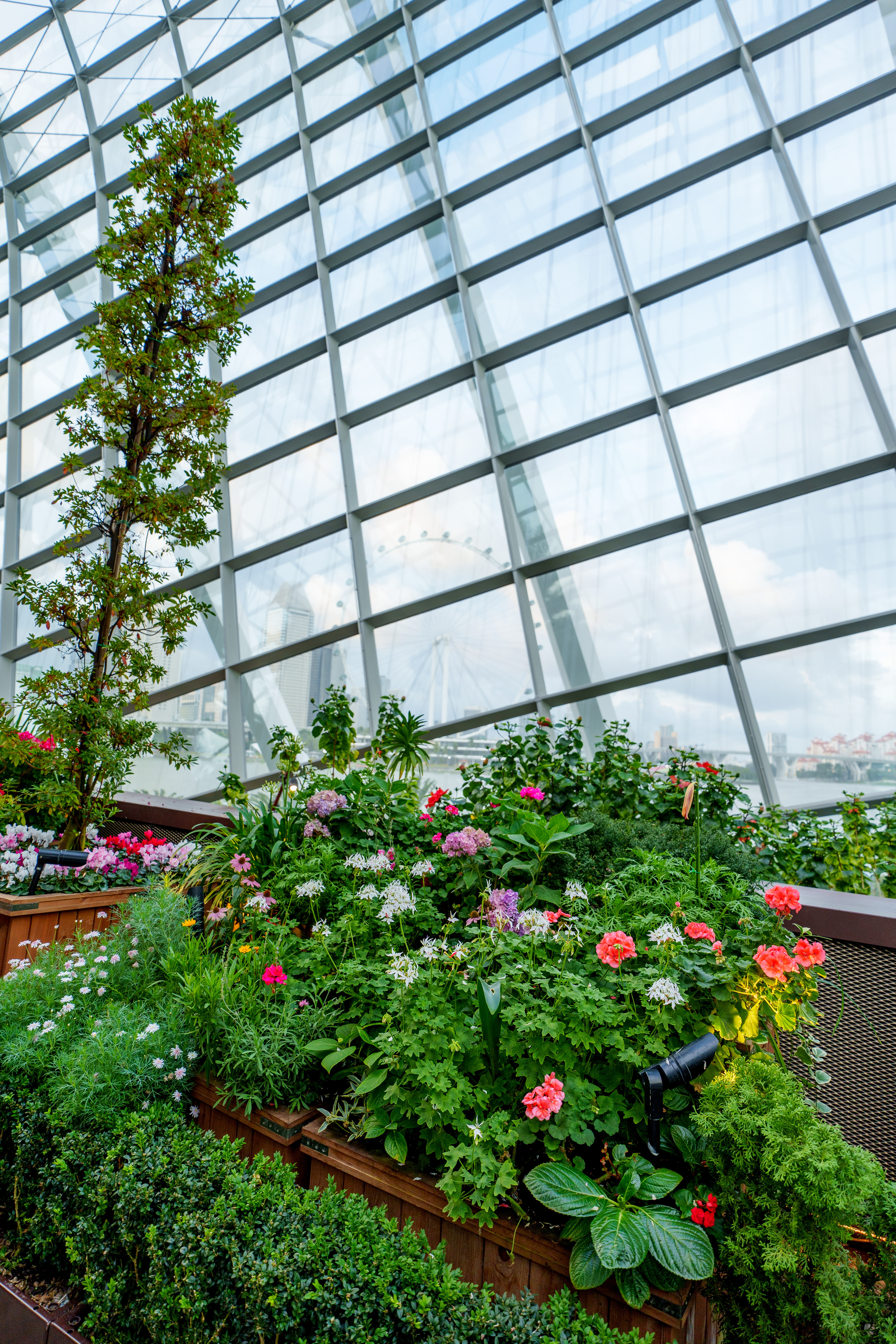 Flower Dome