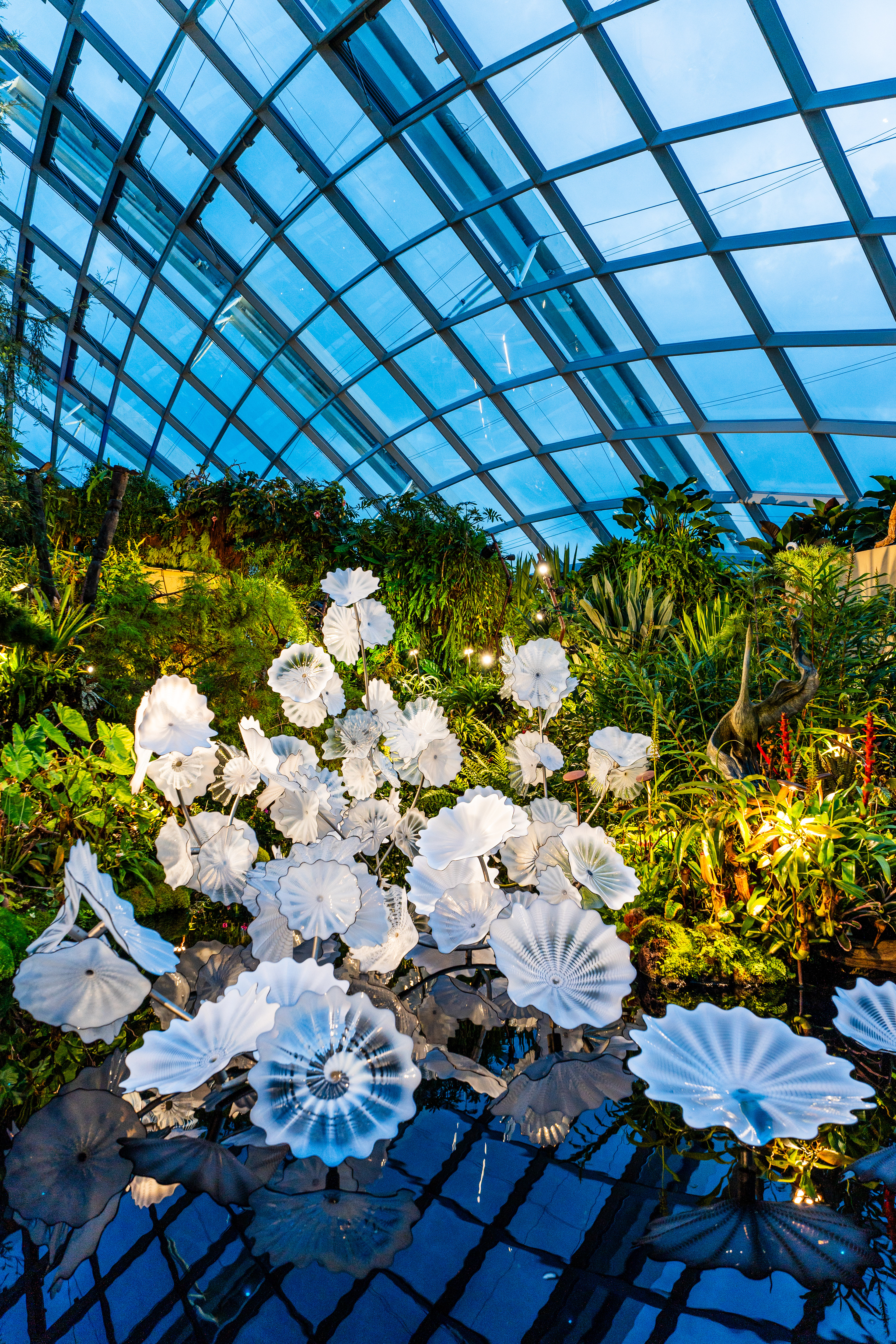 Cloud Forest