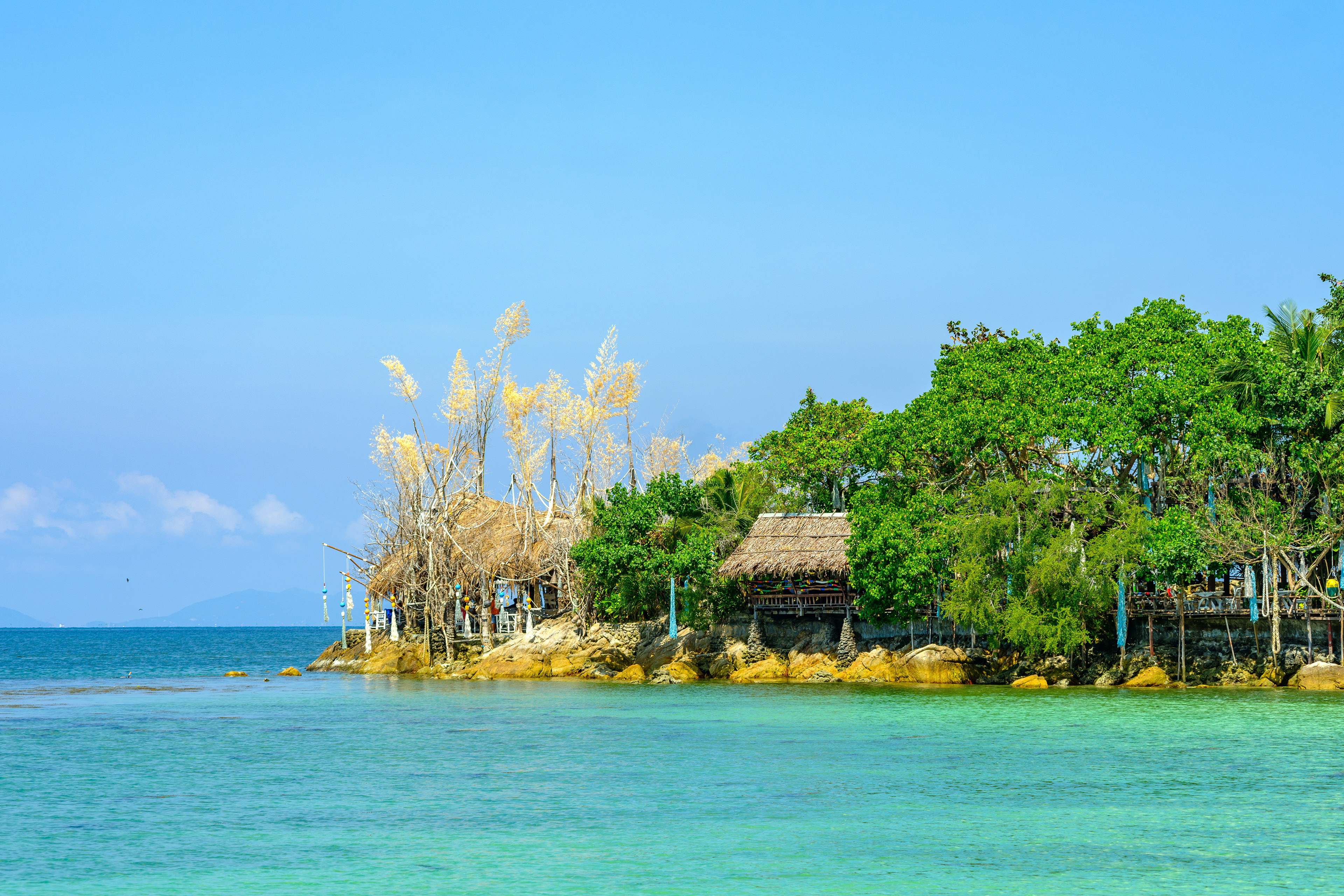 roseaux et restaurant bien intégré au paysage à Secret Beach